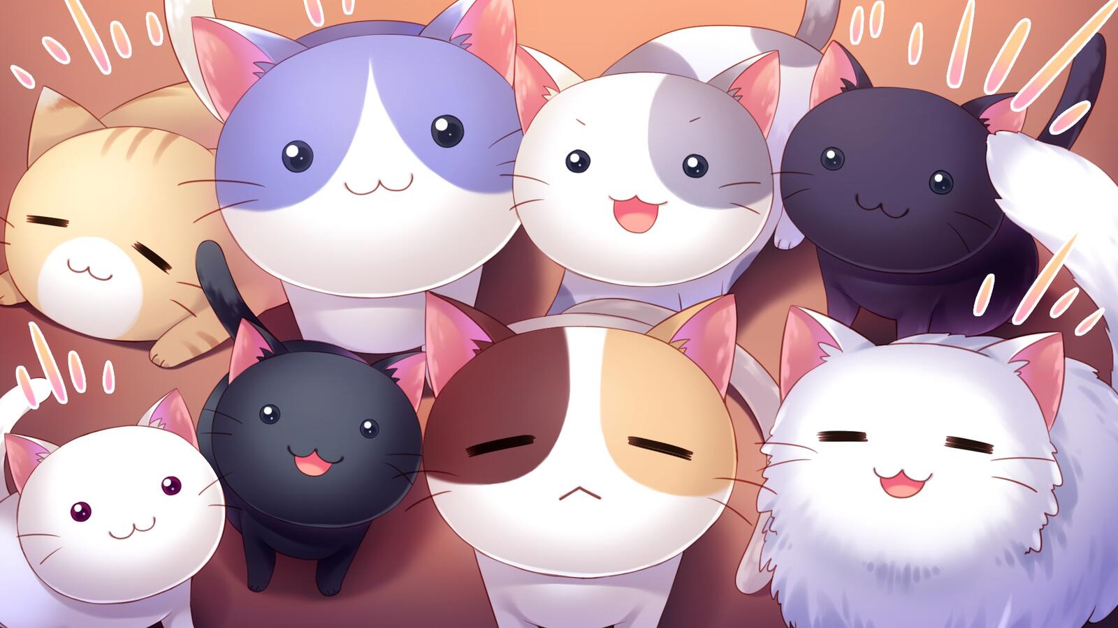 Wallpapers animals an anime cat on the desktop
