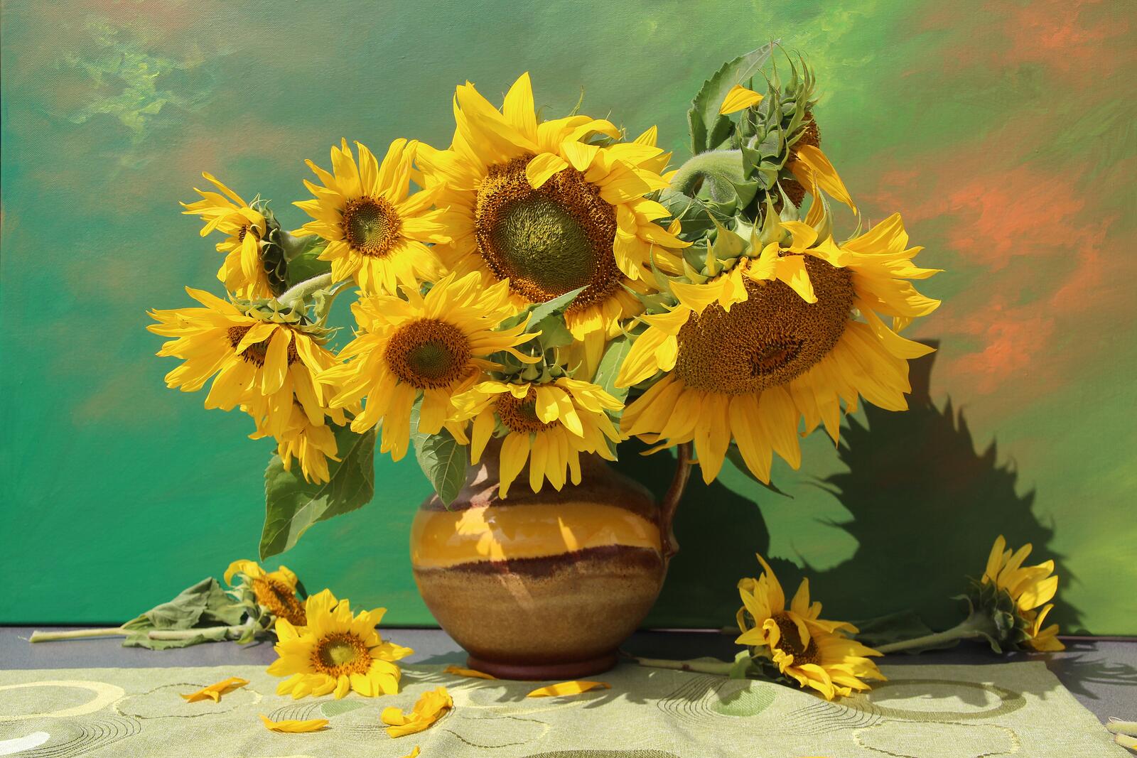 Wallpapers sunflower bouquet flowers on the desktop