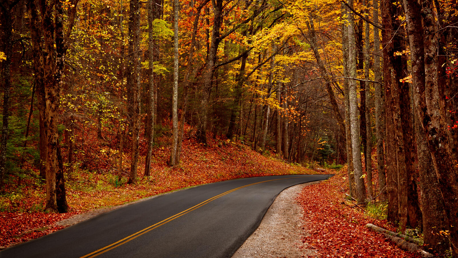 Wallpapers Great Smoky Mountains autumn road on the desktop