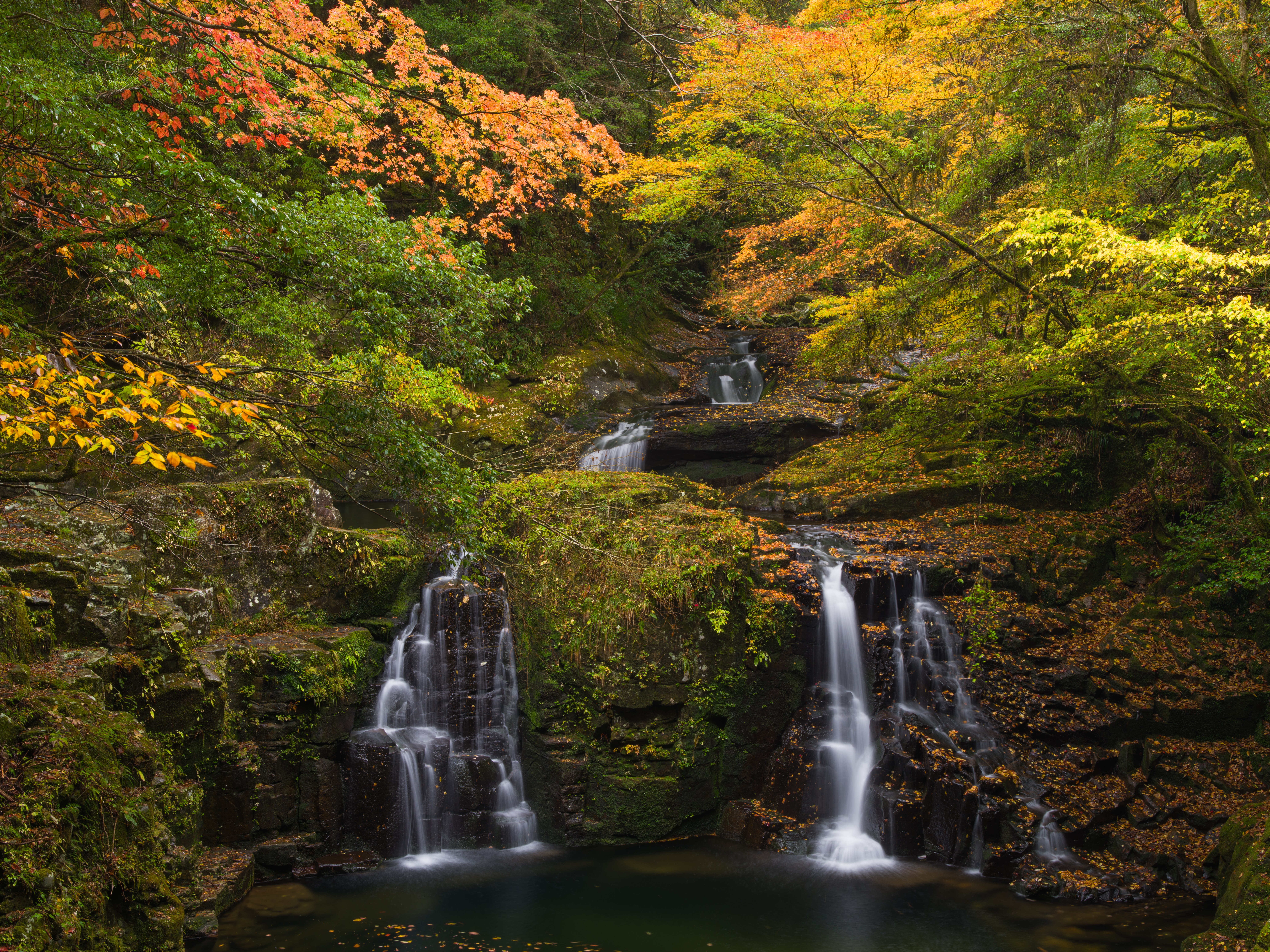 Photo free autumn forest, waterfall in the forest, landscape