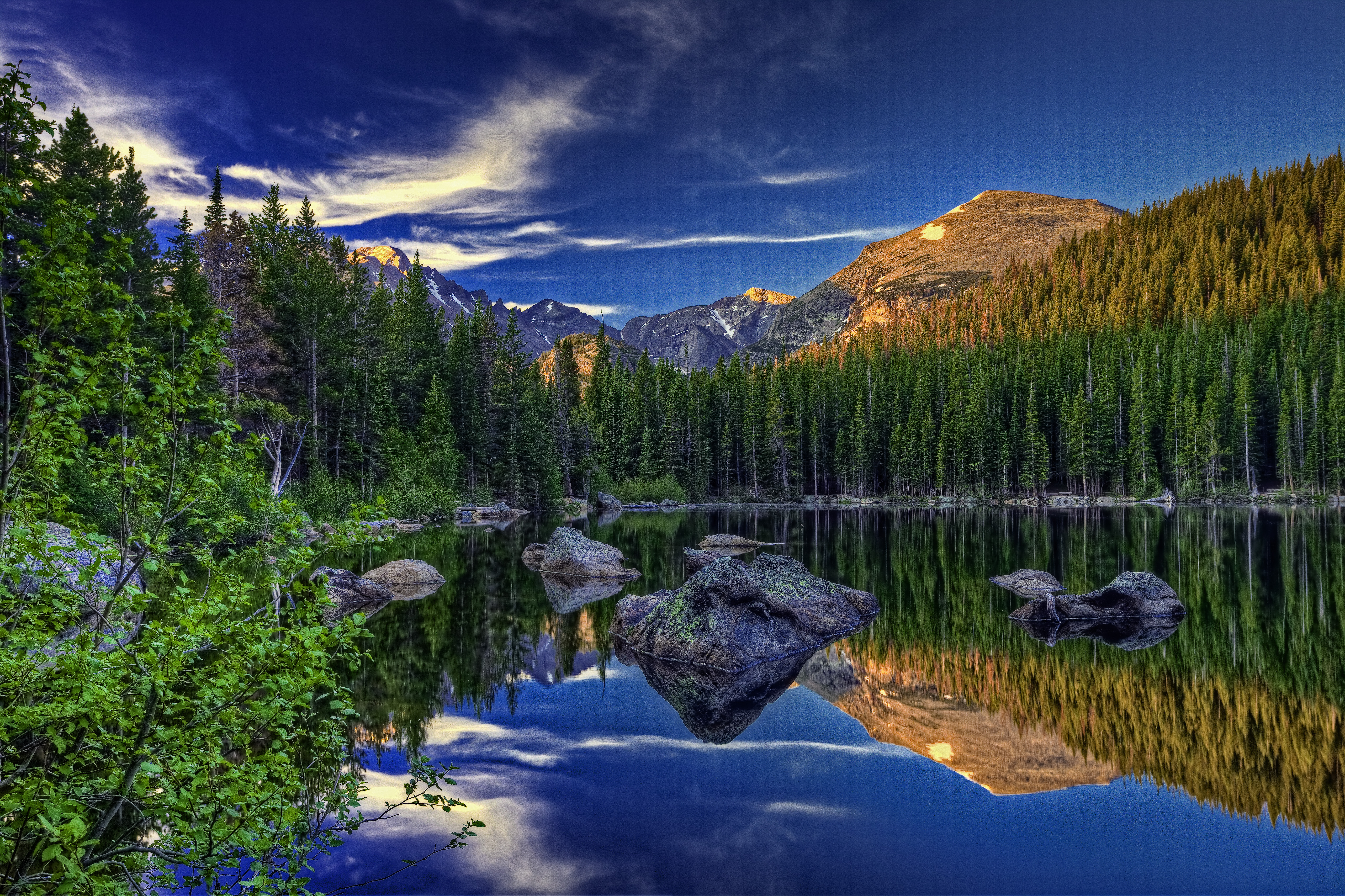 Wallpapers trees lake Rocky Mountain National Park on the desktop