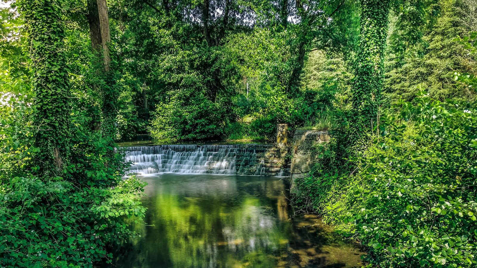 Бесплатное фото Искусственный водопад со ступеньками в парке