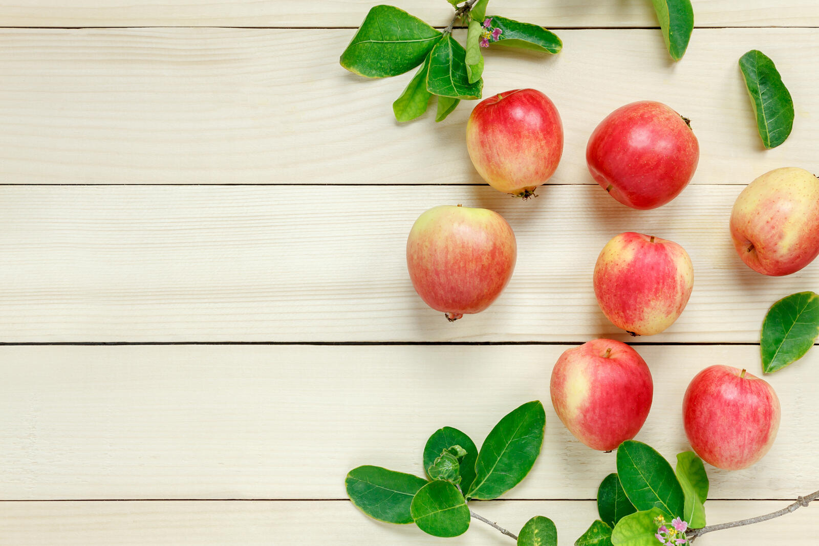 Бесплатное фото Россыпь яблоков и листьев