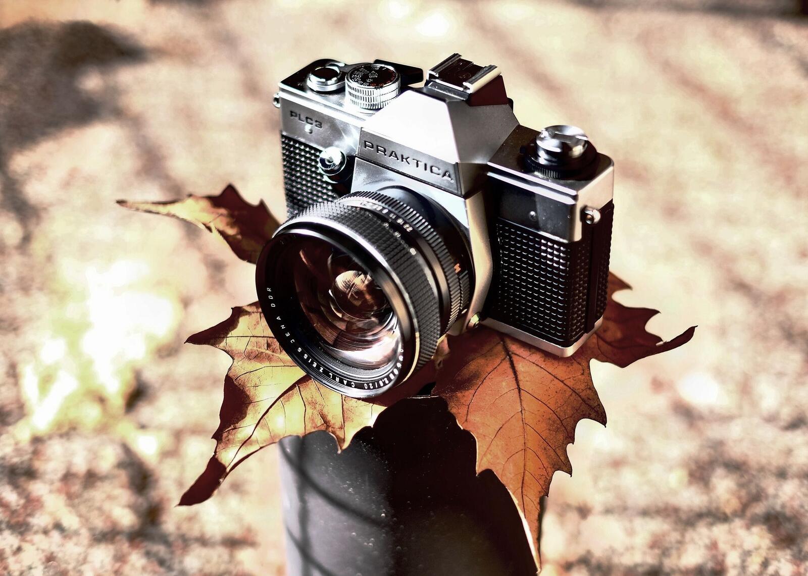 Wallpapers camera Canon II retro style autumn leaf on the desktop