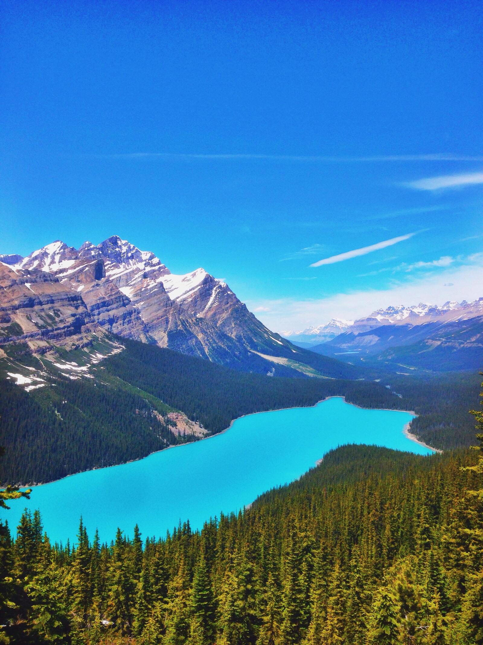 Wallpapers Peyto Lake clear lake clear on the desktop