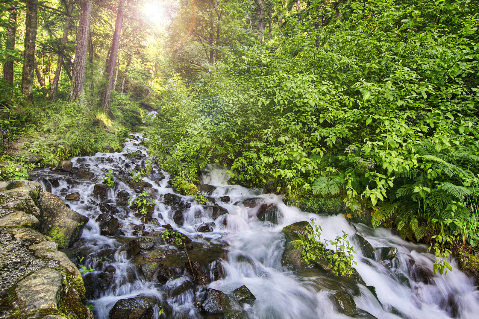 Wallpapers Wahkeena Creek by the Old Columbia River Gorge Oregon waterfall on the desktop