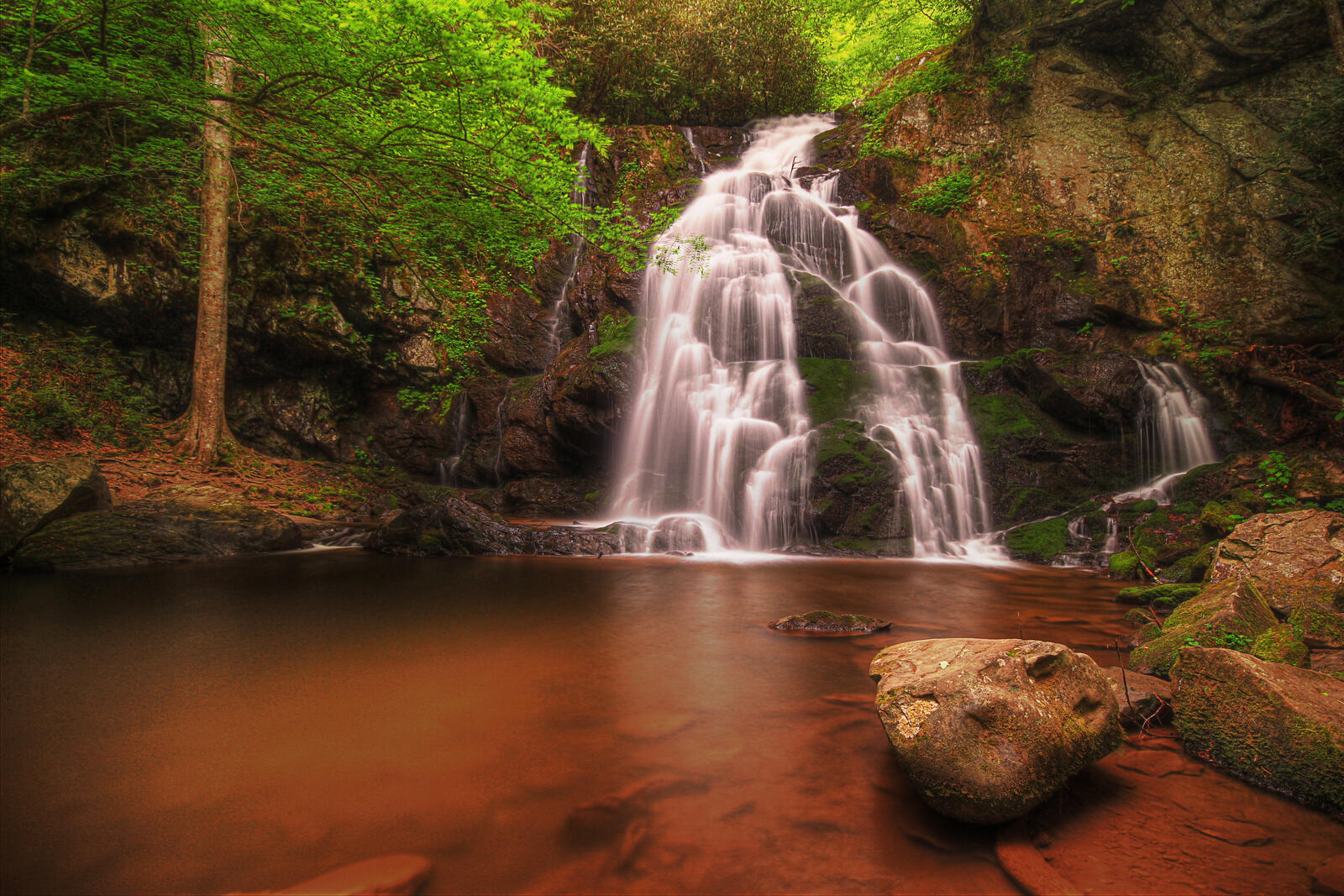 Бесплатное фото Great Smoky Mountains National Park