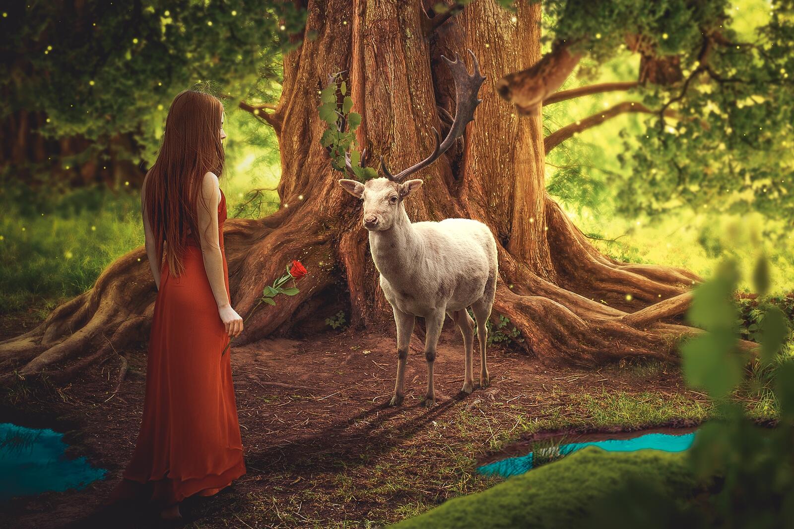 Wallpapers fairy forest the girl with the rose the deer on the desktop