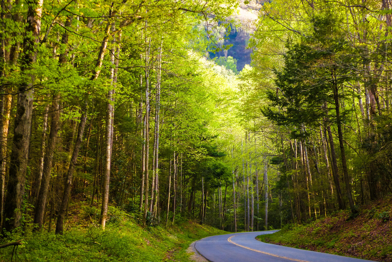 Wallpapers Great Smoky Mountains National Park nature landscape on the desktop