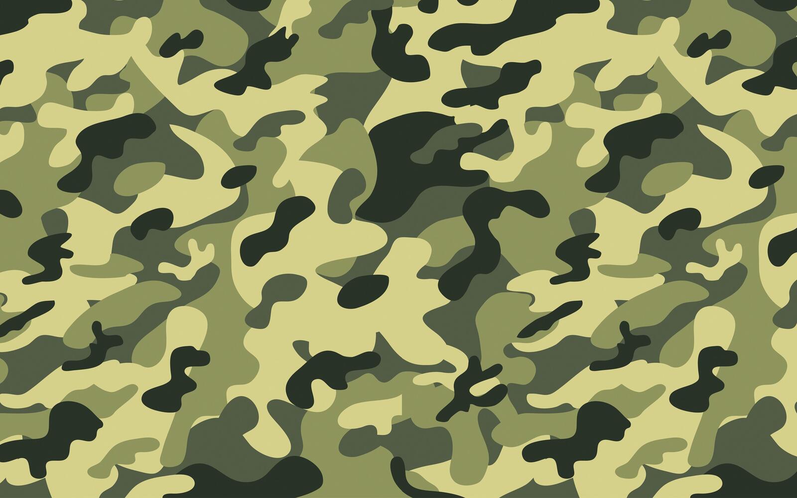 Wallpapers backgrounds camo green on the desktop