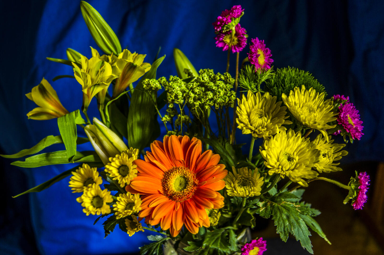 Обои цветы полевые цветы букет на рабочий стол
