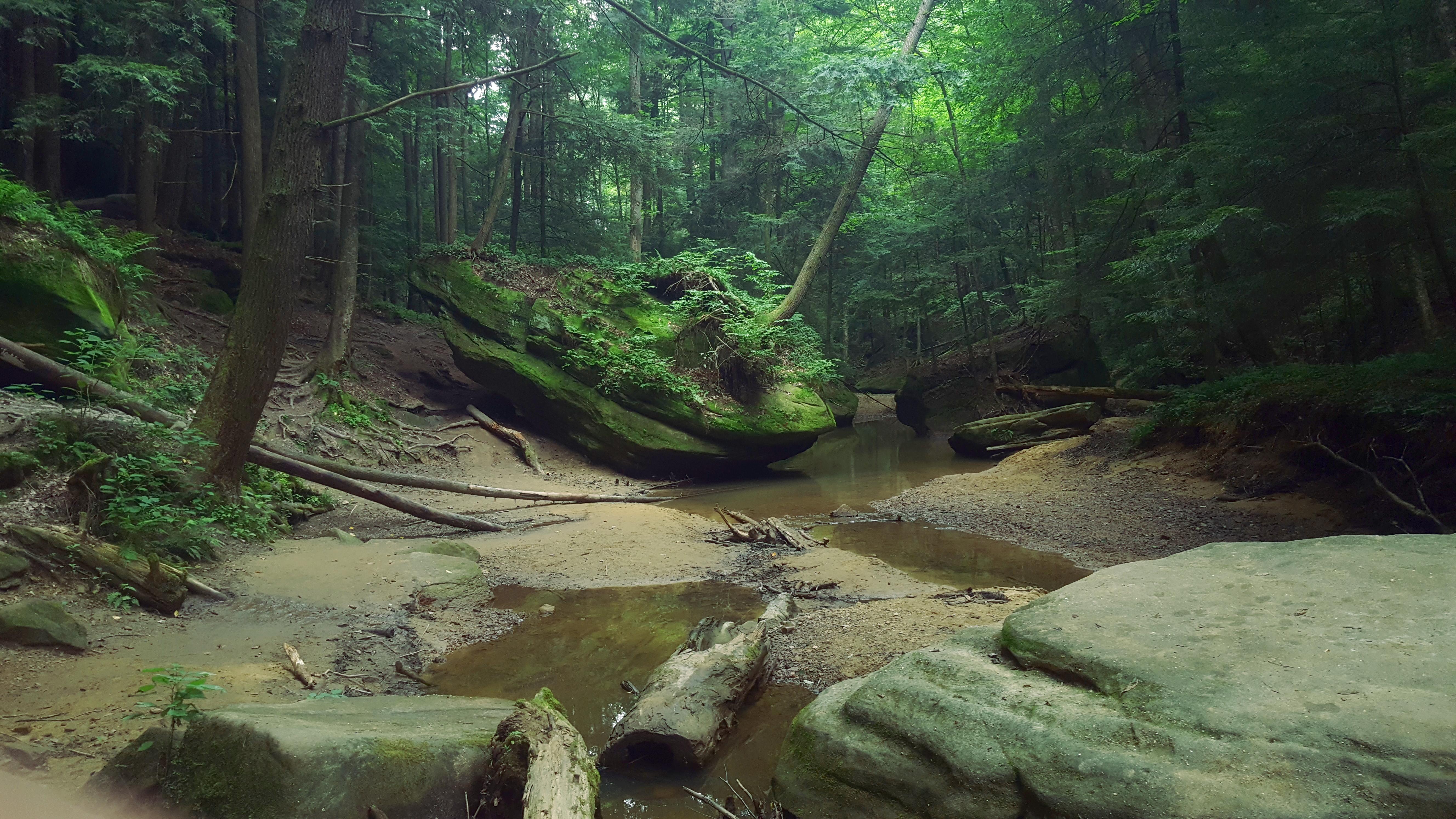 Фото бесплатно лес деревья скалы, водоём, природа