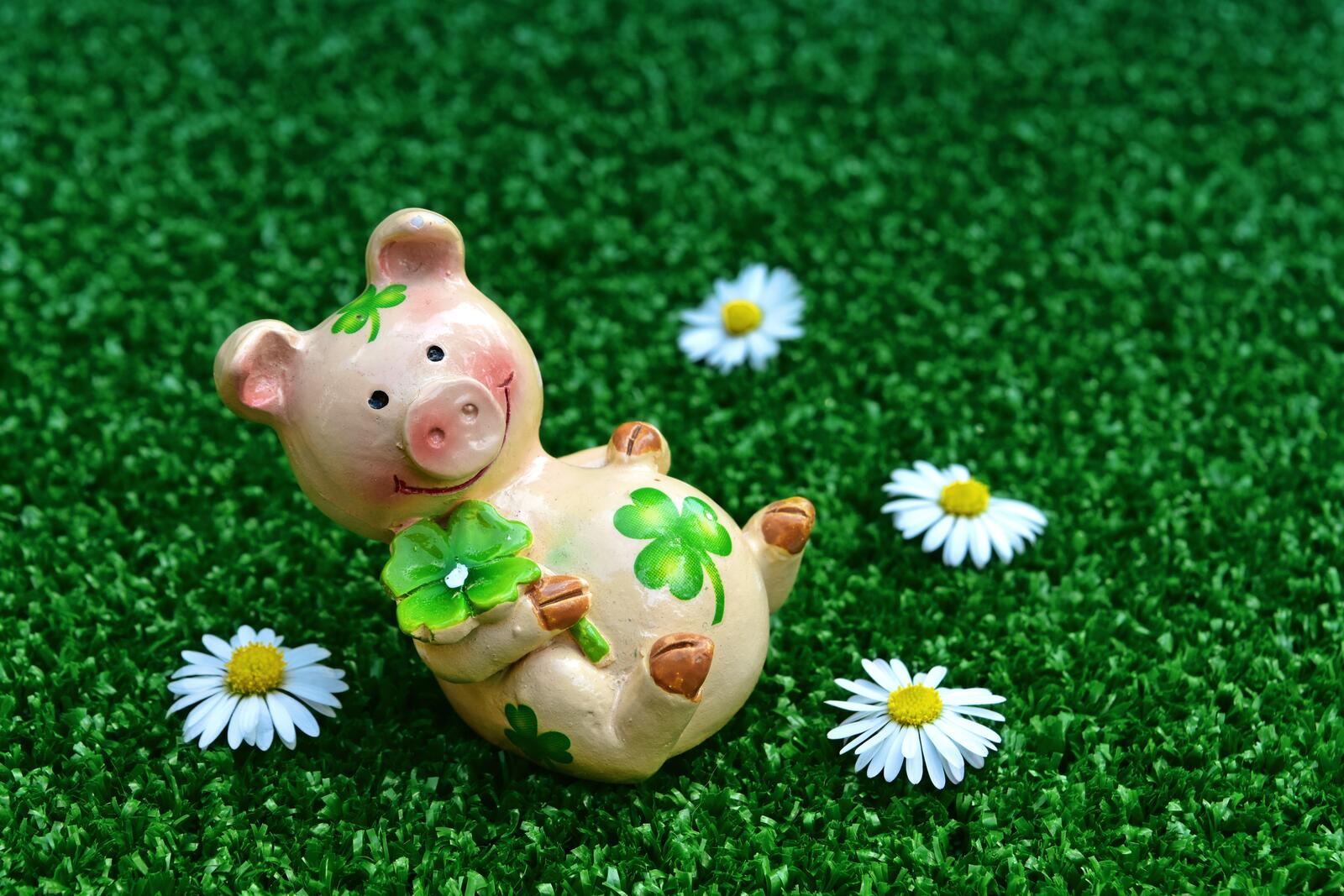 Обои свинка трава цветы на рабочий стол