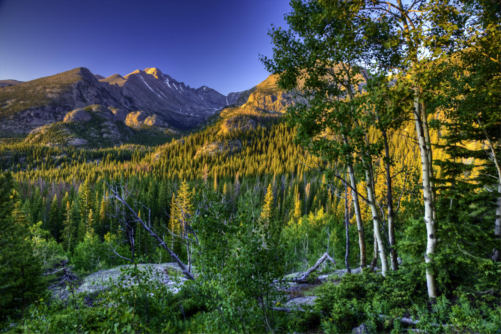 Обои Rocky Mountain National Park осень горы на рабочий стол