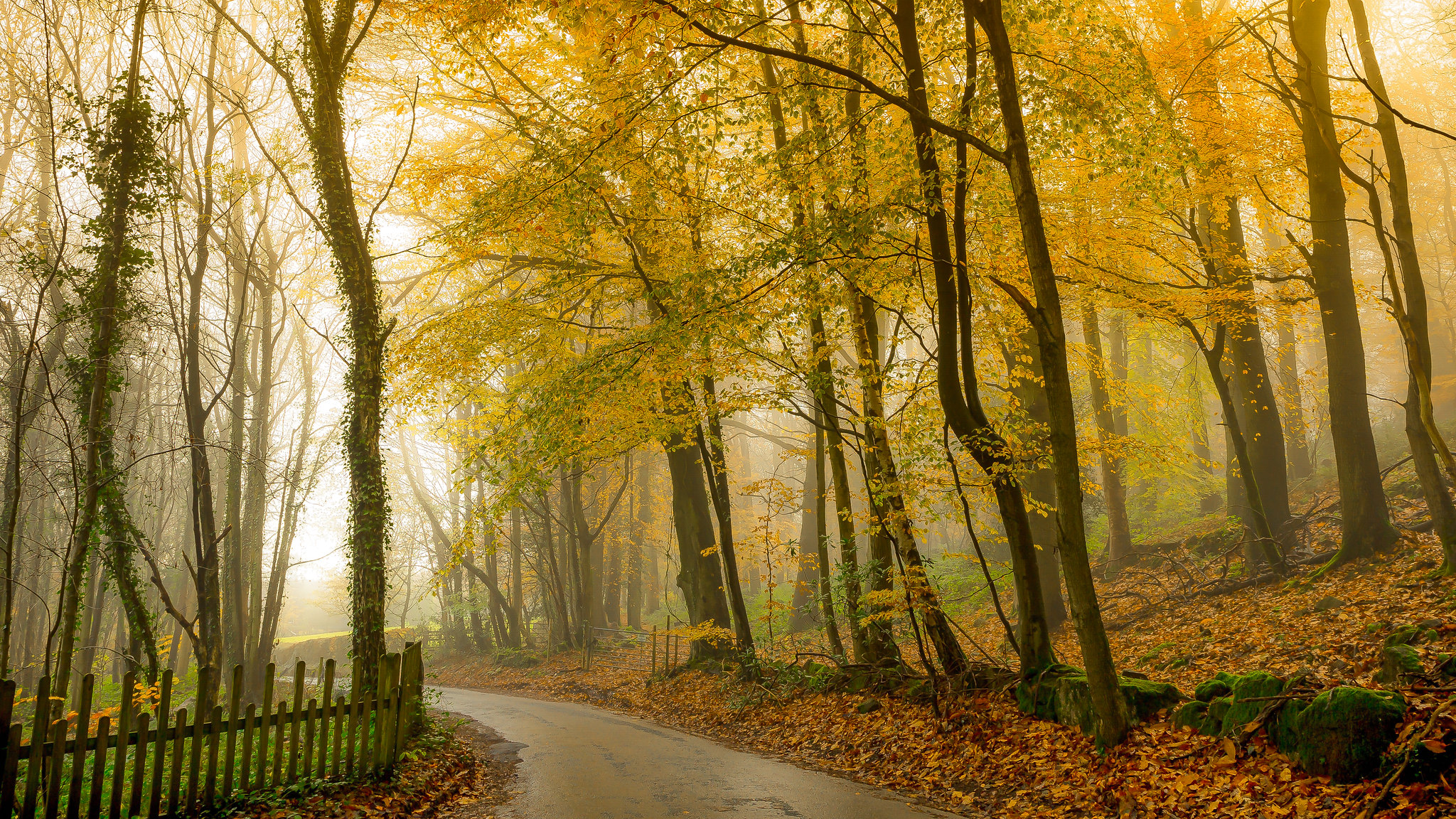Бесплатное фото Осенняя загородная дорога