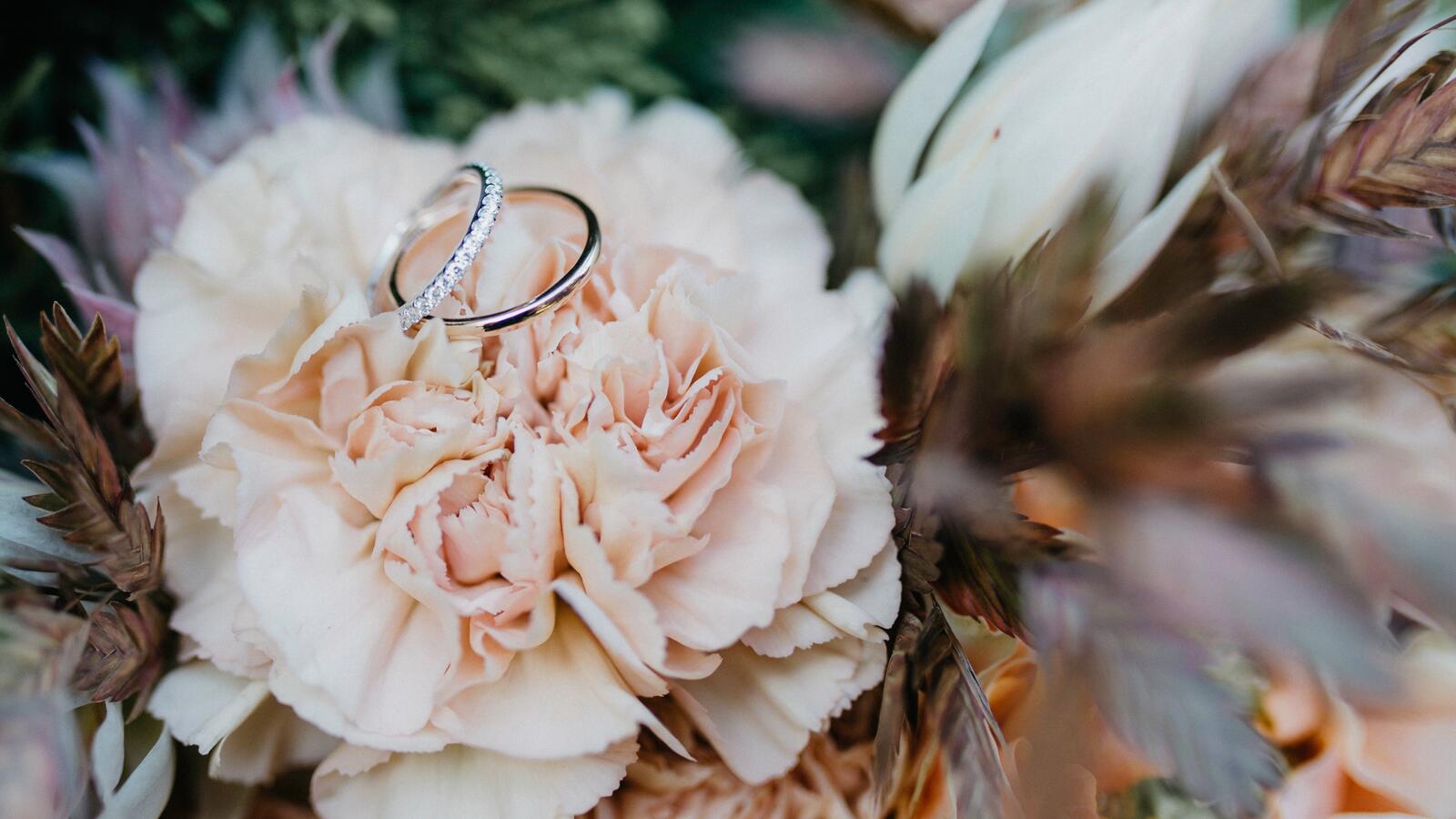 Обои цветы украшение кольцо на рабочий стол