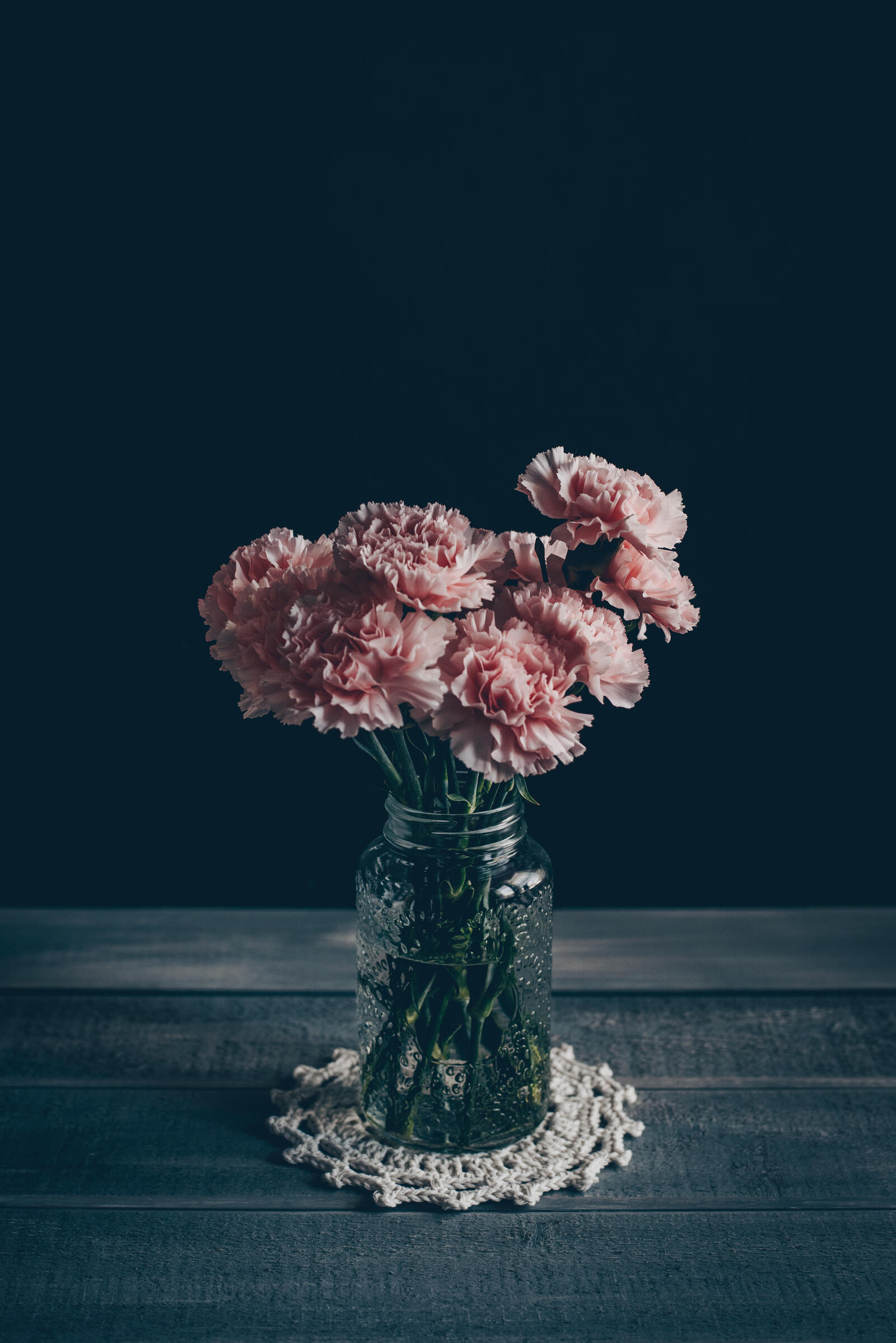 Обои розовые цветы гвоздика растения на рабочий стол