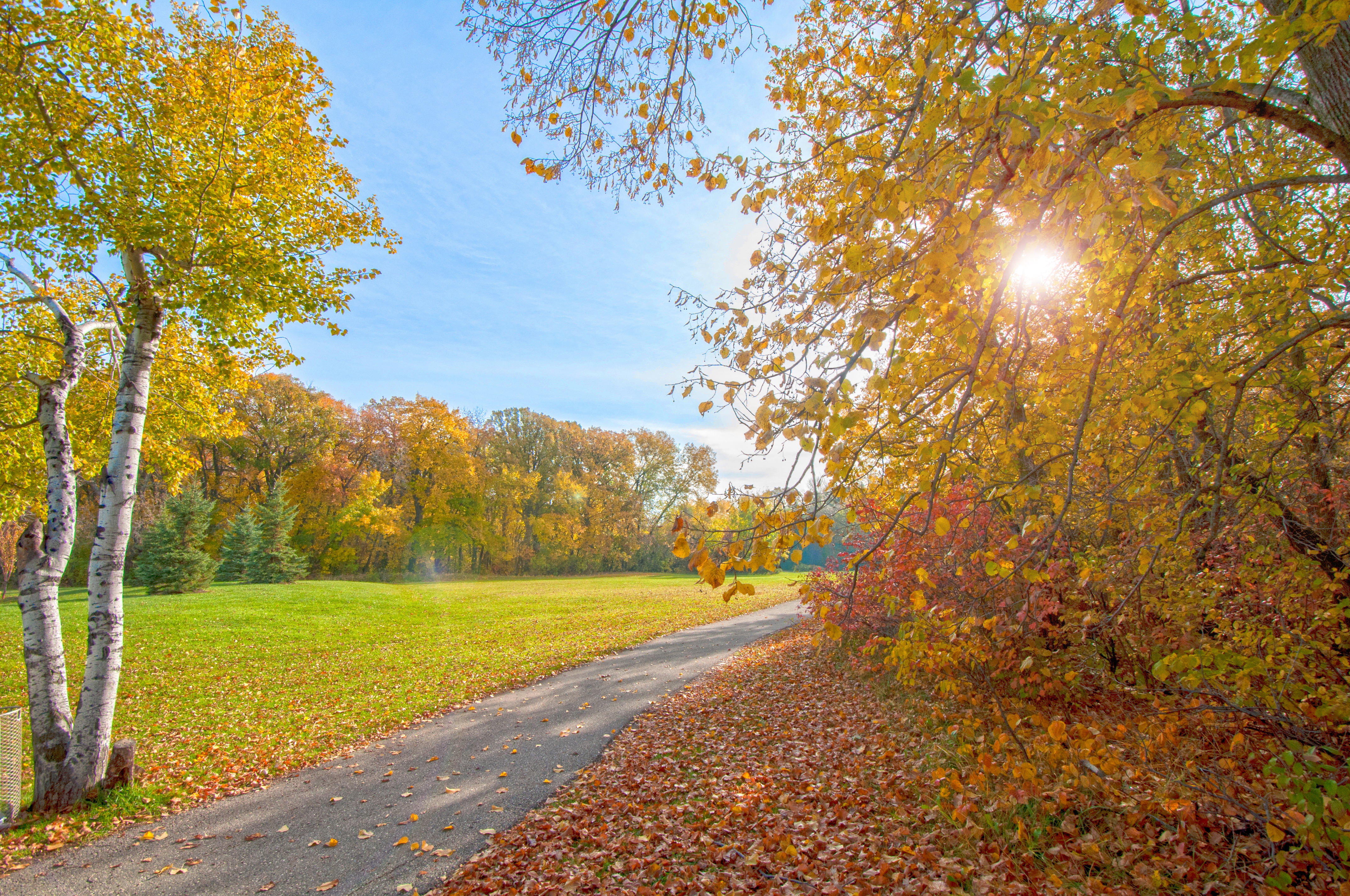 Photo free landscape, autumn colors, fallen leaves