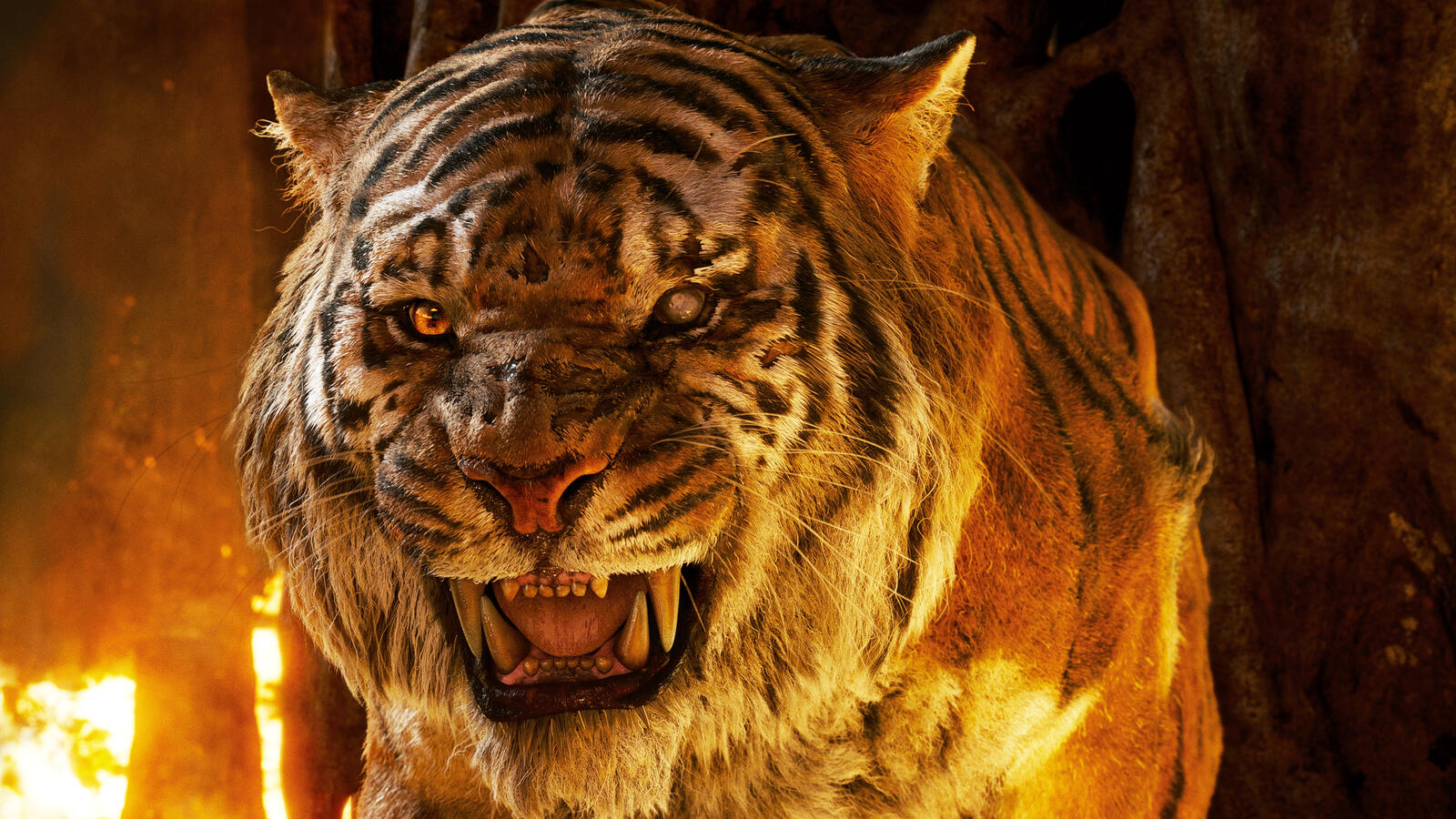 Бесплатное фото Слепой тигр на один глаз