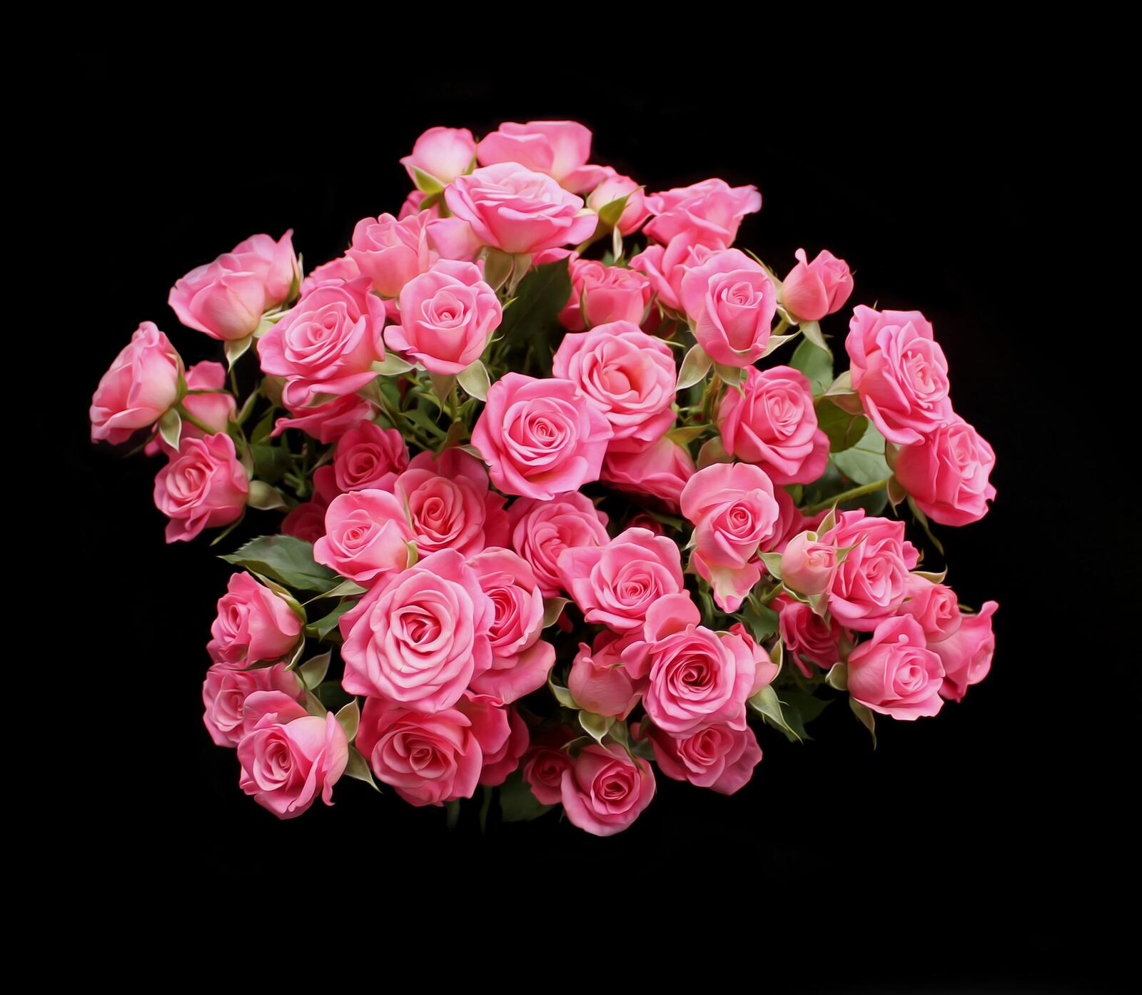 桌面上的壁纸玫瑰花束 植物群 玫瑰