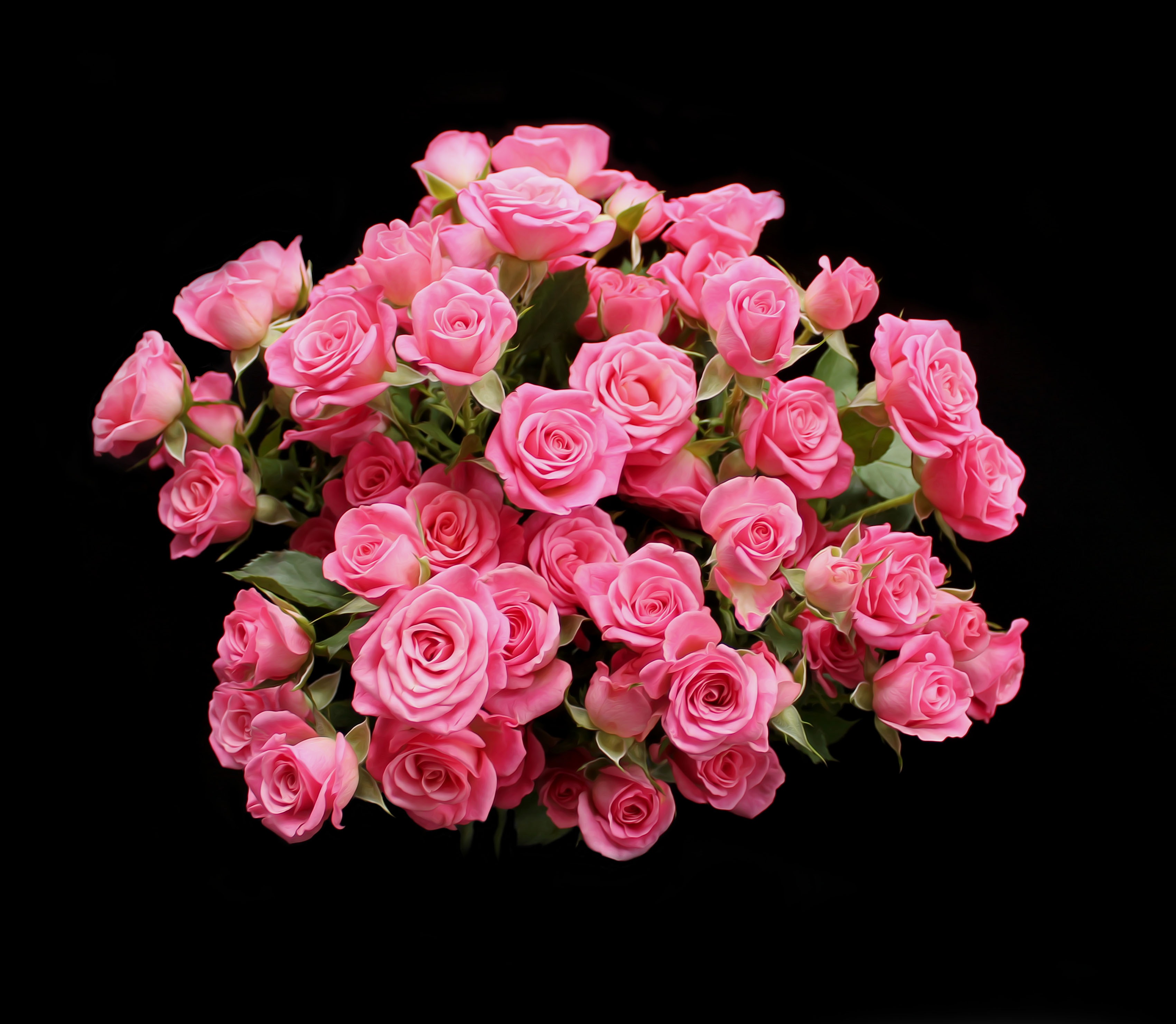 Фото бесплатно букет роз, флора, розы