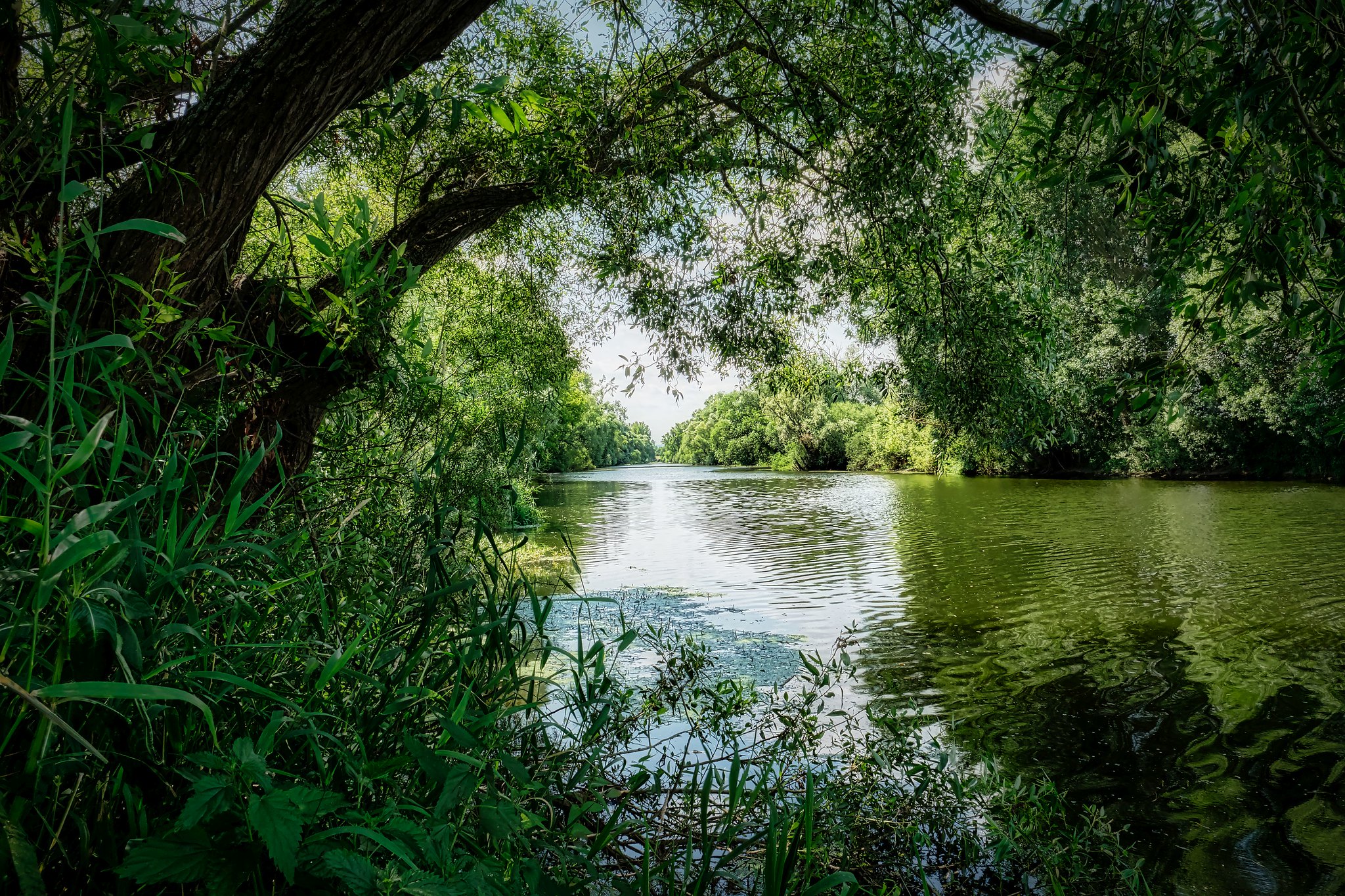 река вьюн ленинградская область