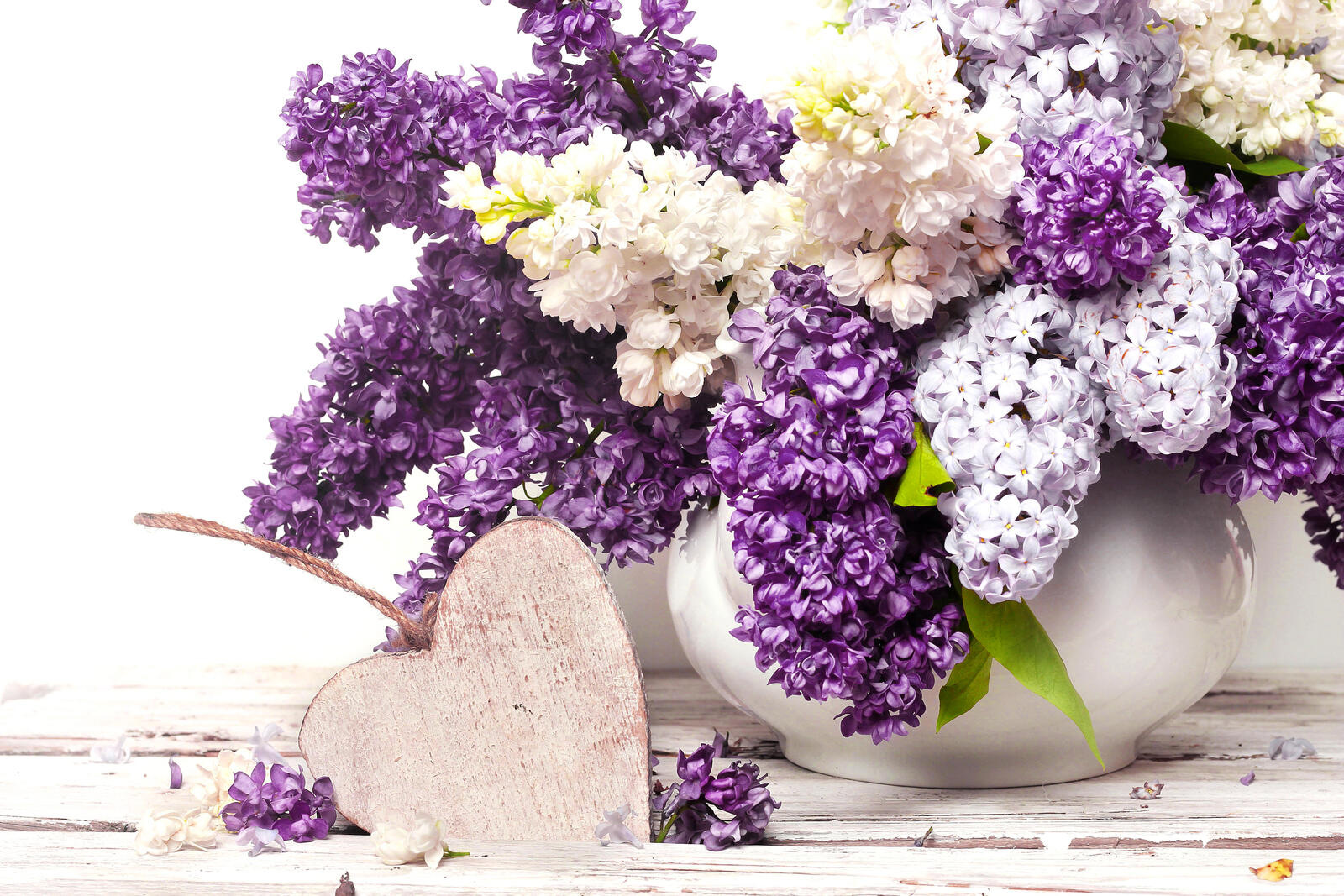 桌面上的壁纸紫花 静物 丁香花束