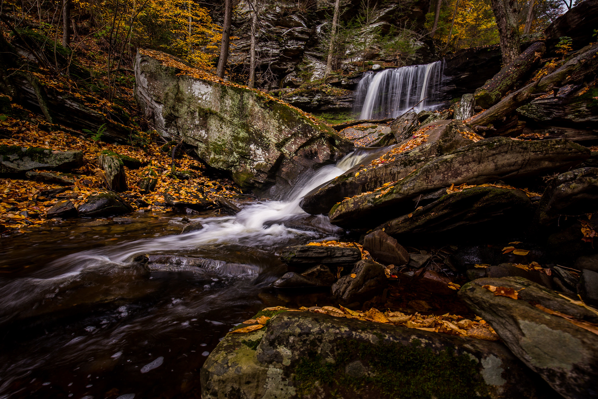 Обои водопад Рикеттс Glen State Park в Пенсильвании на рабочий стол