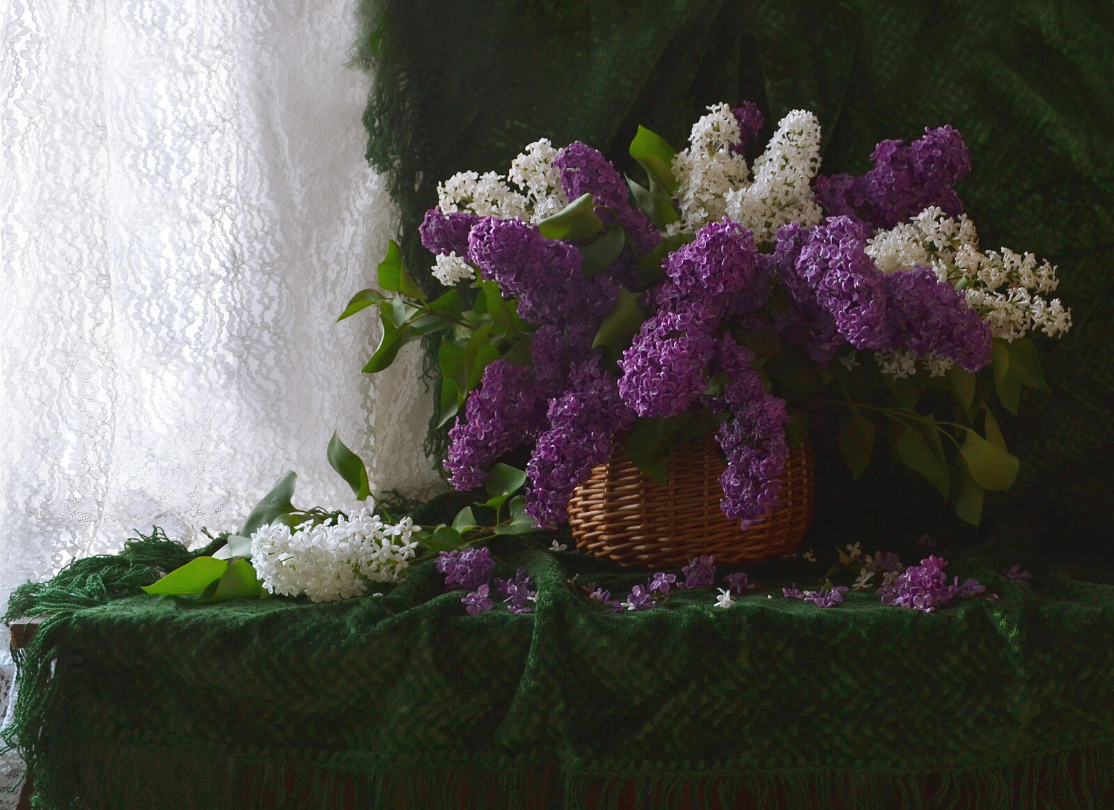 Wallpapers background lilac bouquet on the desktop