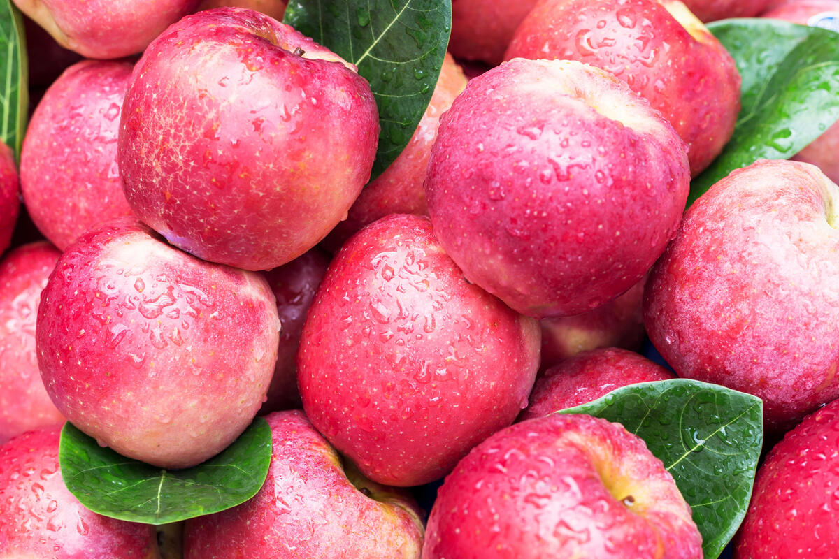 Fresh pink apples