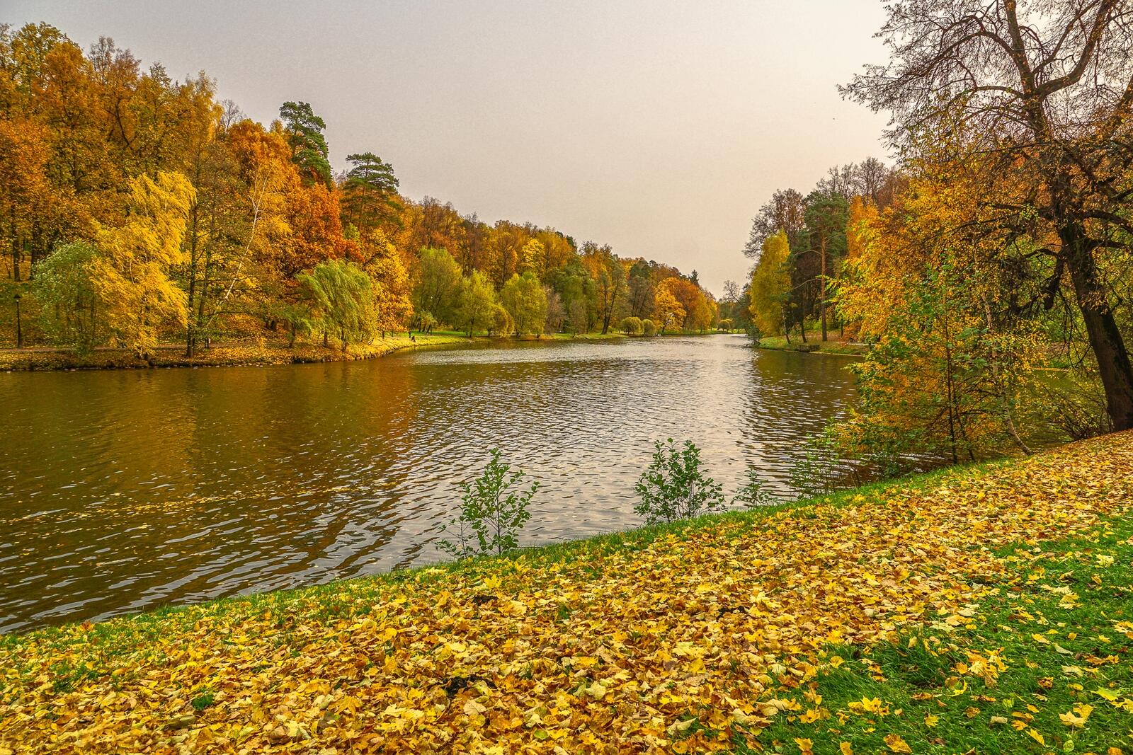 Wallpapers Tsaritsyno Museum-reserve autumn leaves Moscow on the desktop