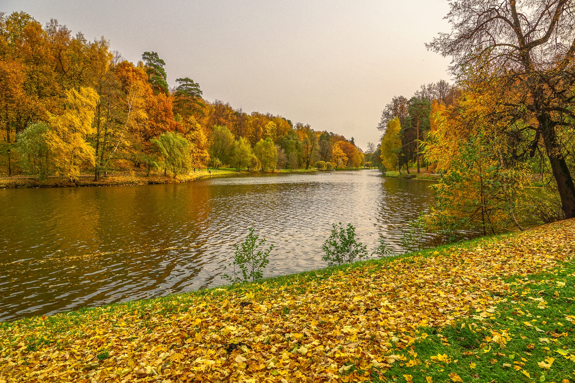 Wallpapers Tsaritsyno Museum-reserve autumn leaves Moscow on the desktop