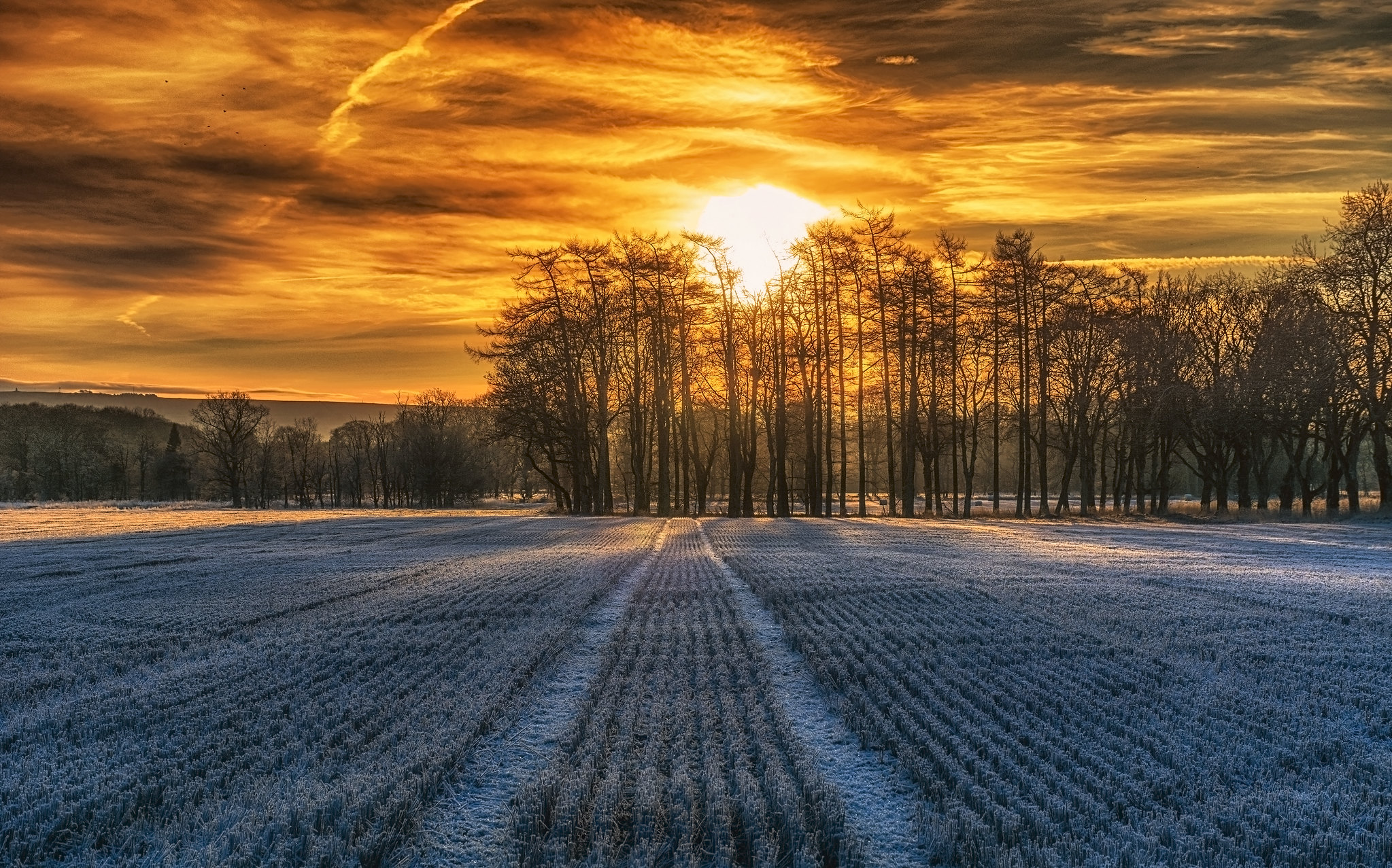 Зимнее поле на закате дня