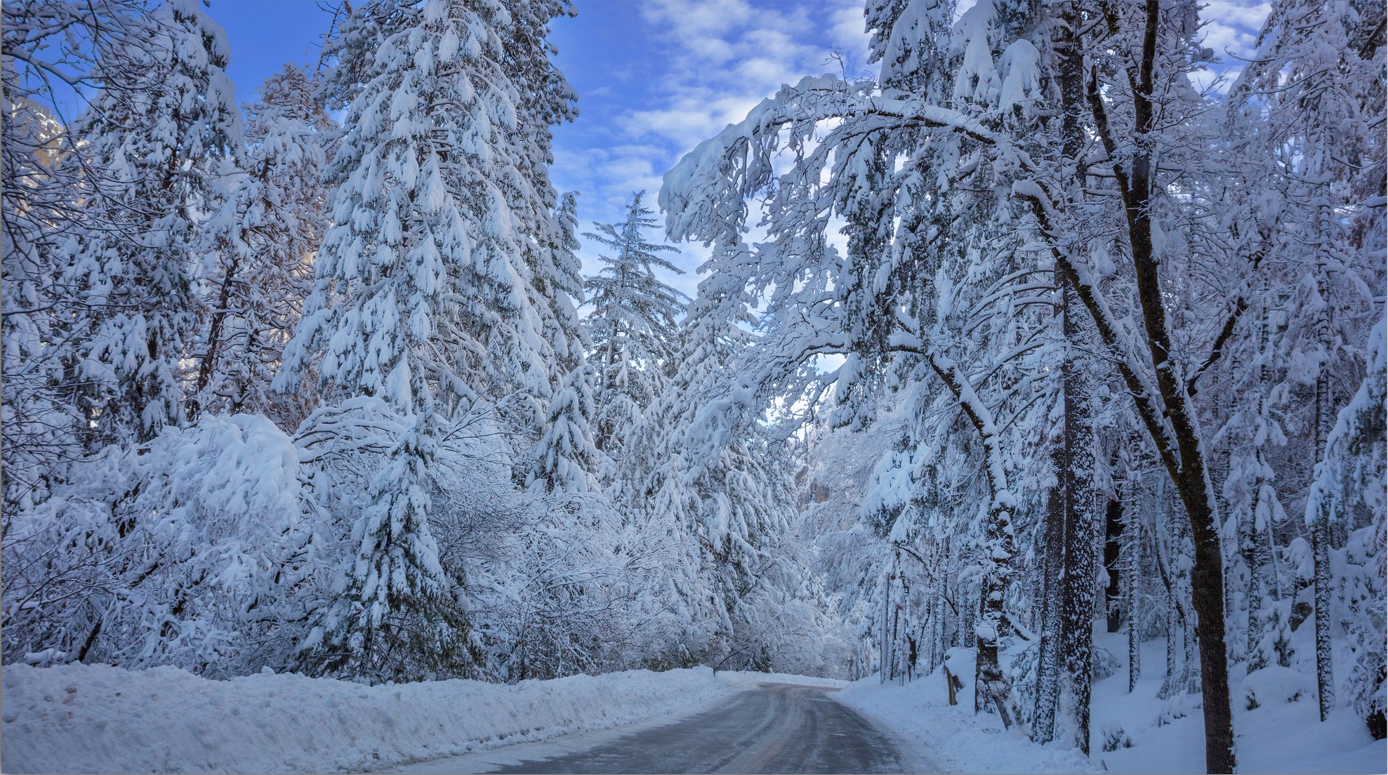 Фото бесплатно пейзаж, зимний лес, деревья в снегу