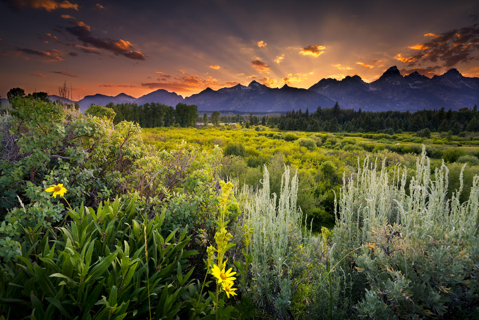 Free photo Golden sunset over the peaks of the Teton in BLK