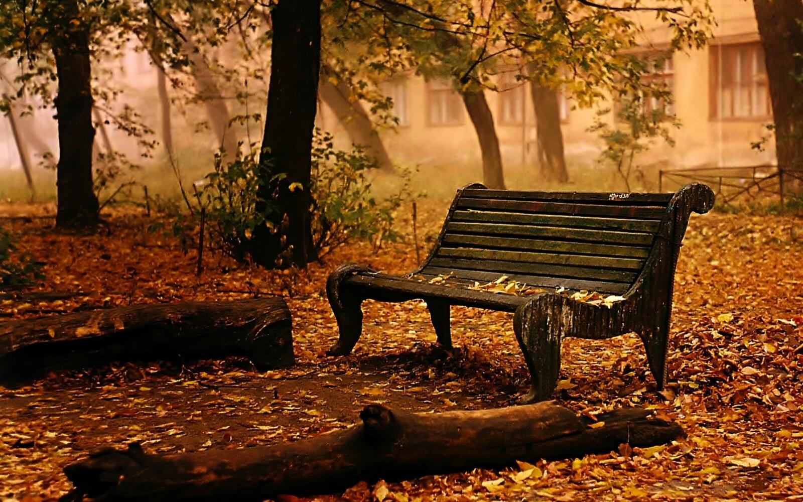 Wallpapers autumn bench chair on the desktop