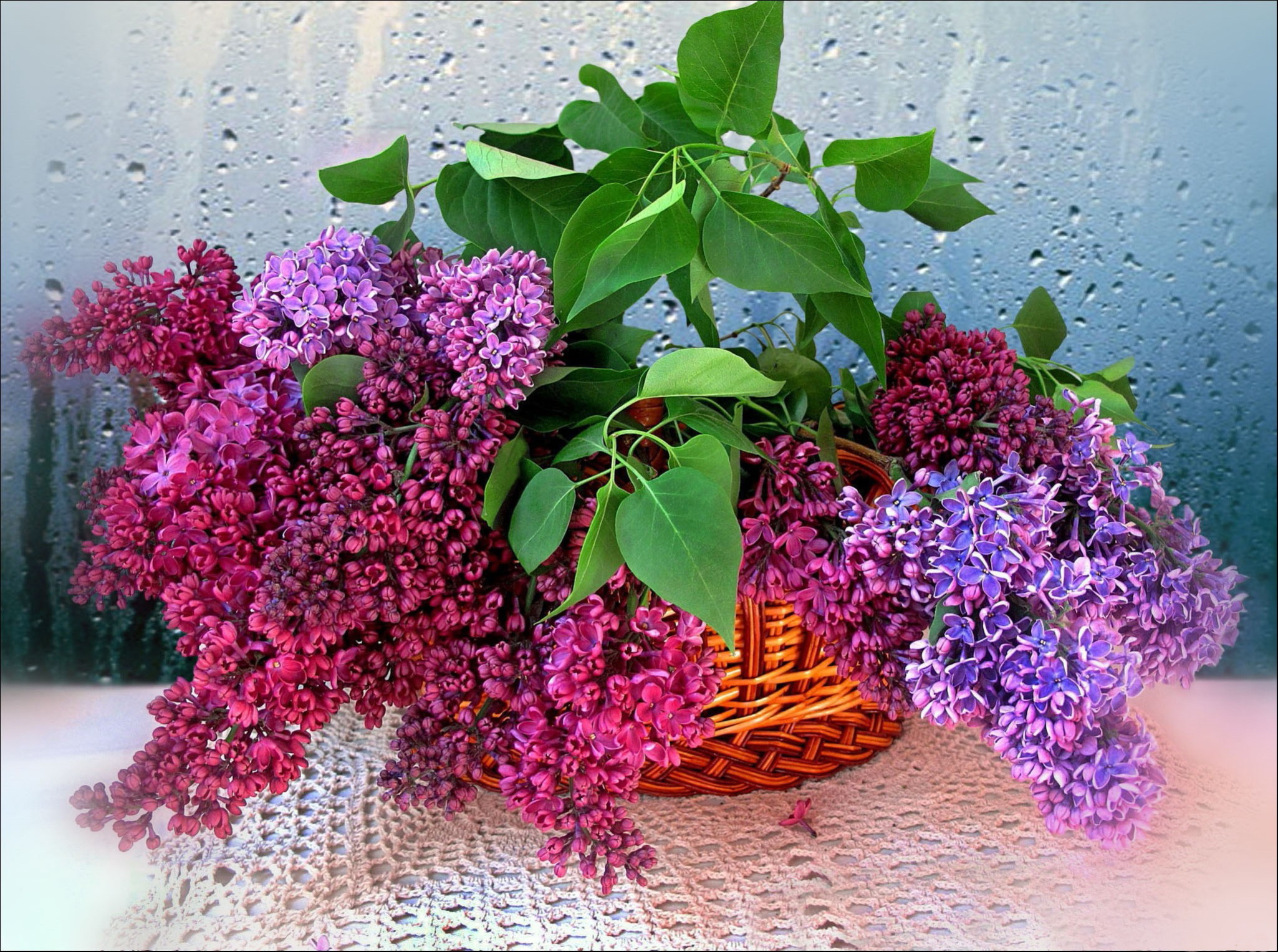 Wallpapers still life flowers bouquet of lilac on the desktop