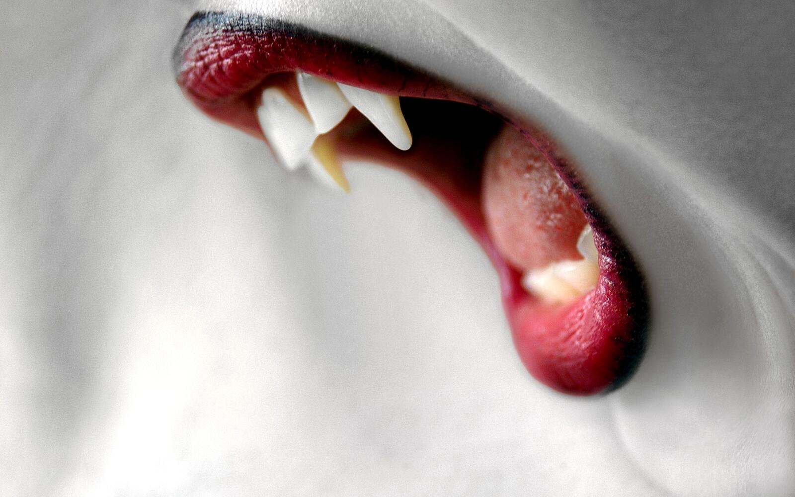 Обои зубы клыки вампира помада на рабочий стол