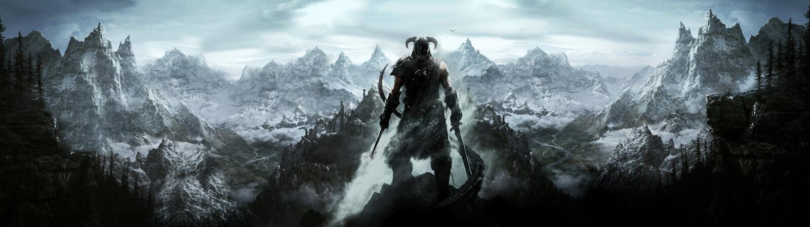 Wallpapers knight black and white skyrim on the desktop