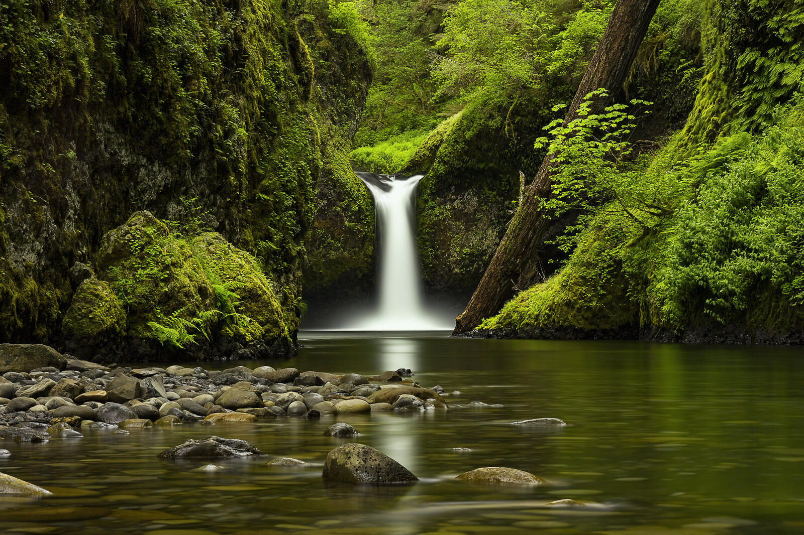 Обои Панч Боул Фолс Орегонский водопад камни на рабочий стол