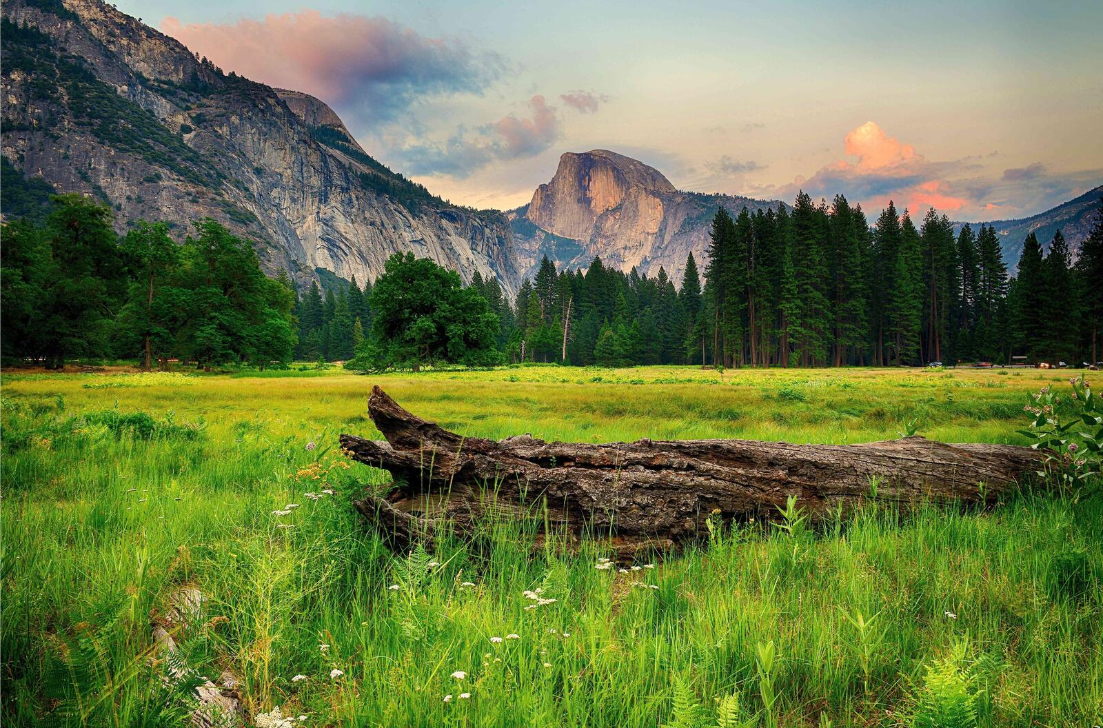 Обои Йосемитский национальный парк горы лето на рабочий стол