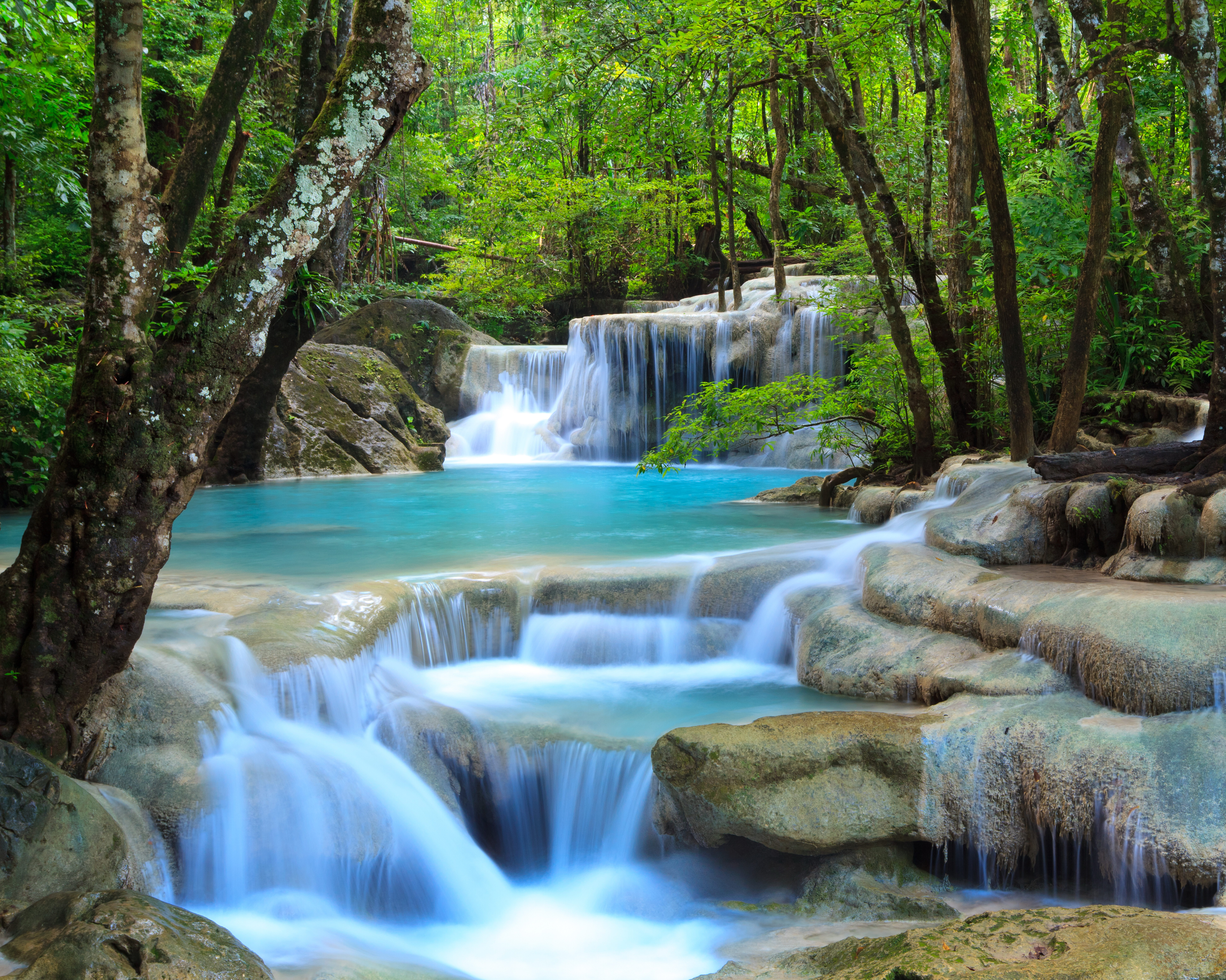 Wallpapers Thailand forest stream on the desktop