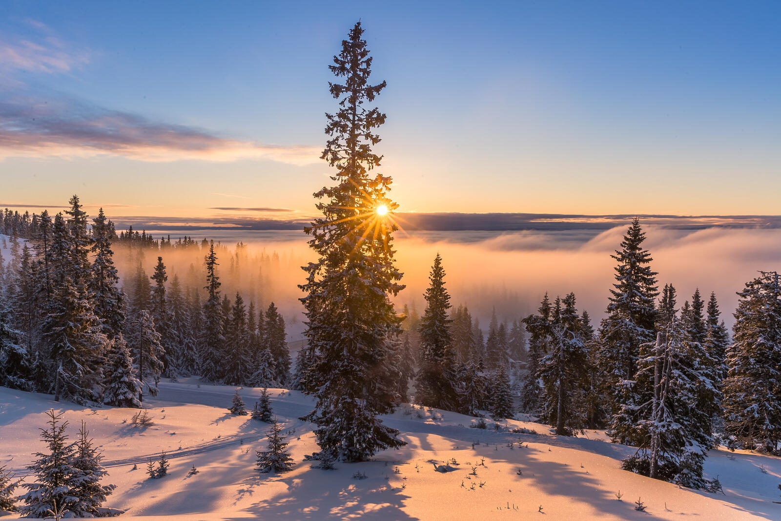 Wallpapers the sun the snow Norway on the desktop
