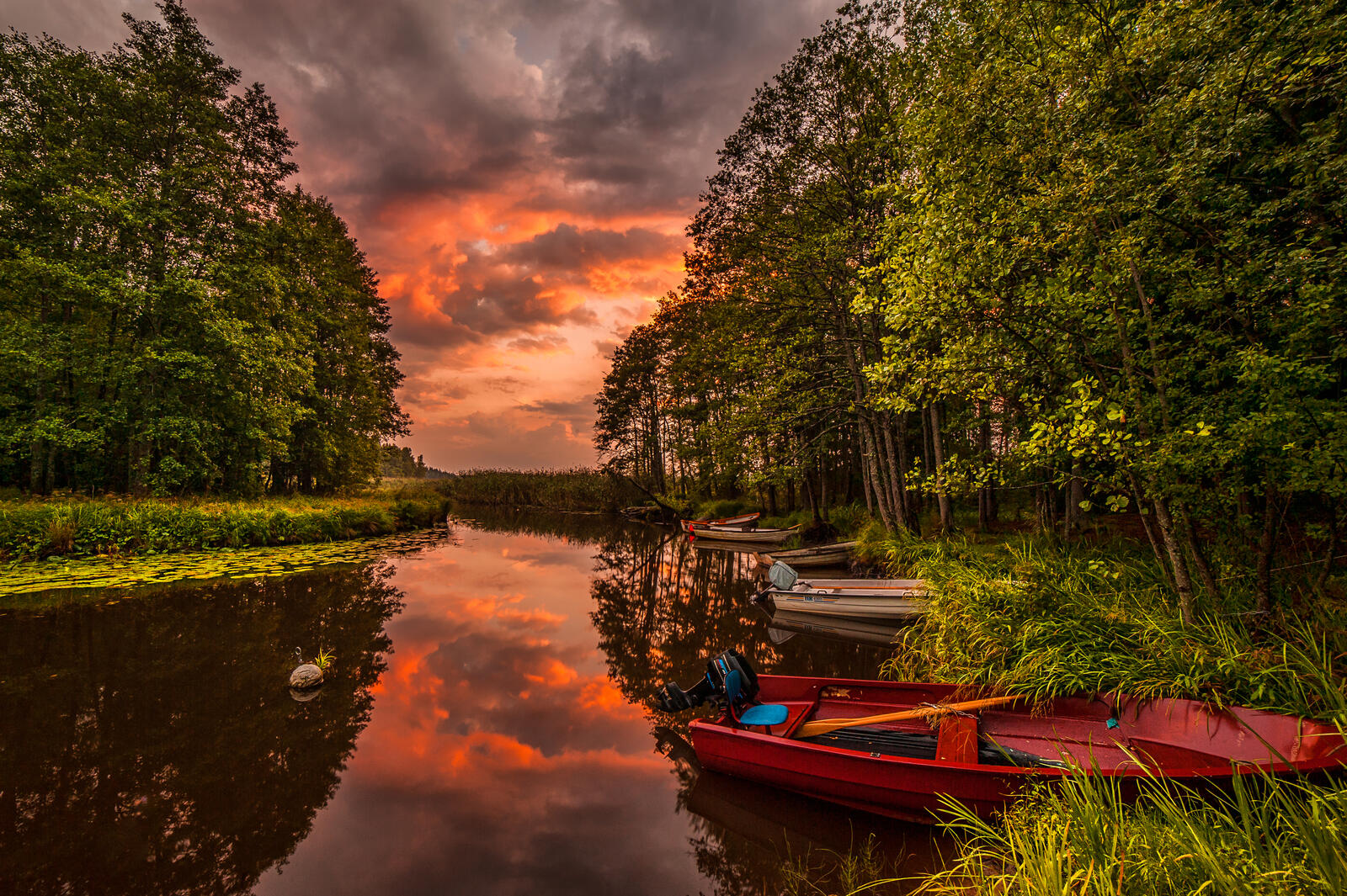 免费照片夕阳下的森林湖泊