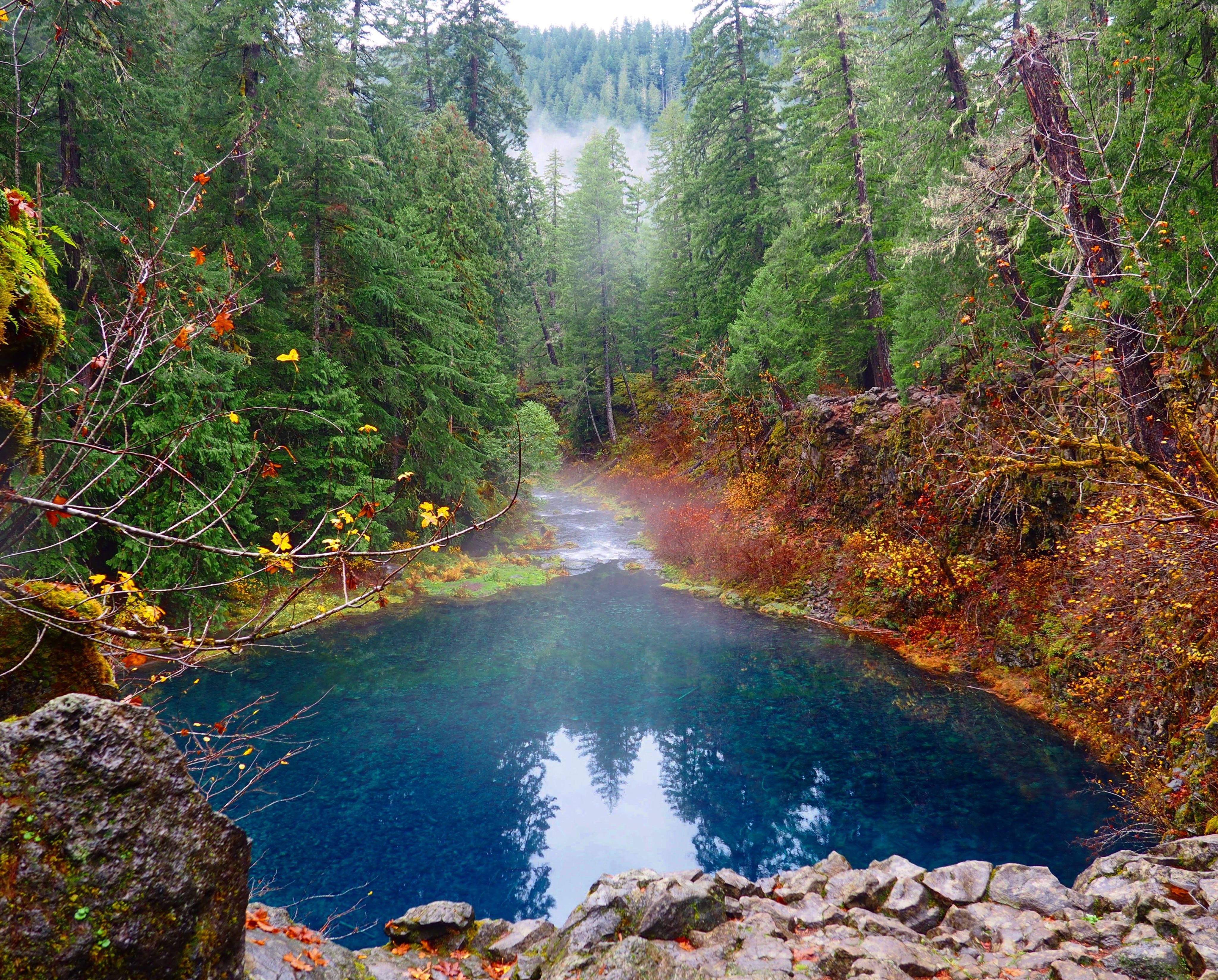 Обои Водопад Тамолич Орегон водоём на рабочий стол
