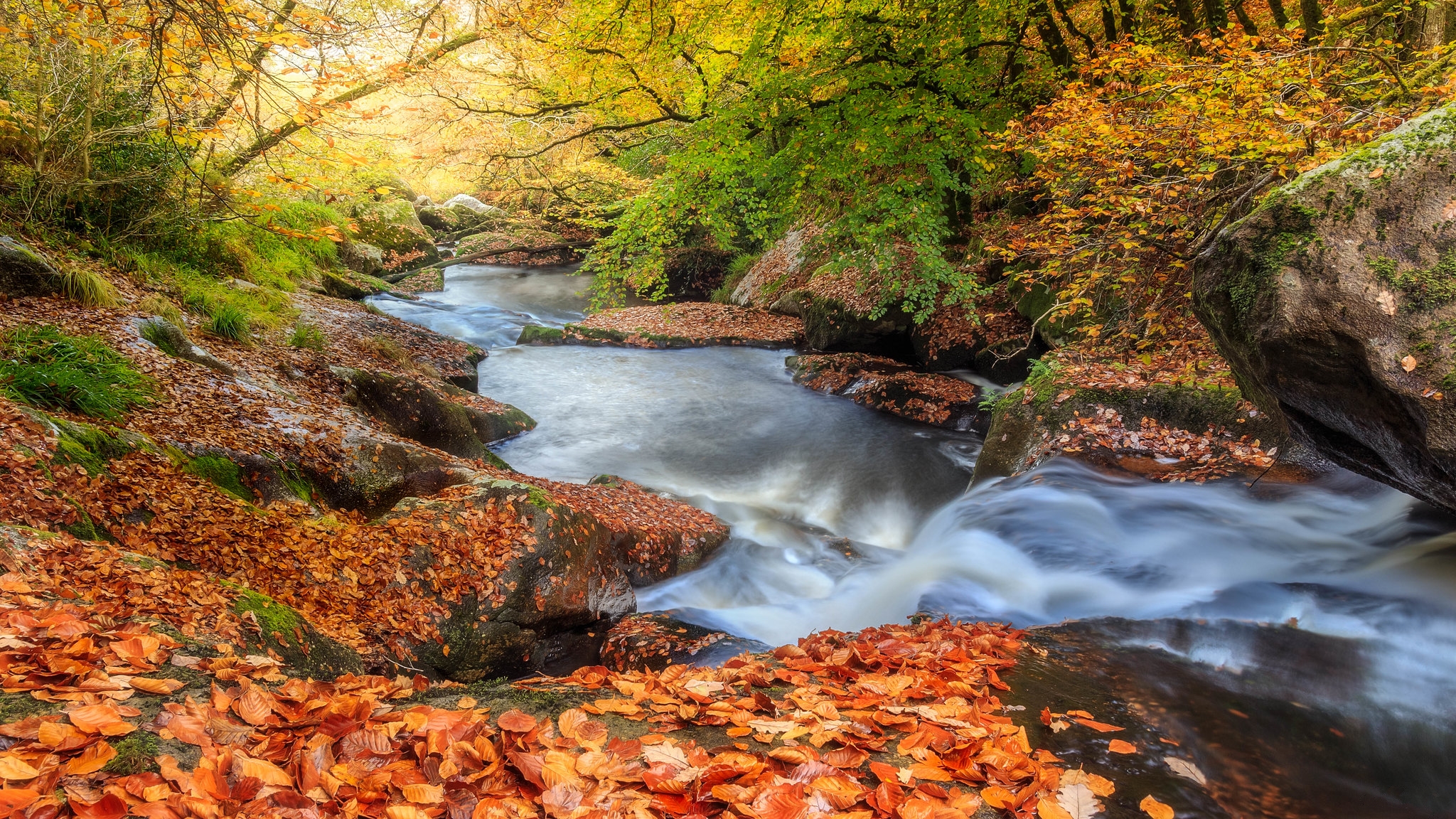 Wallpapers autumn colors trees river on the desktop