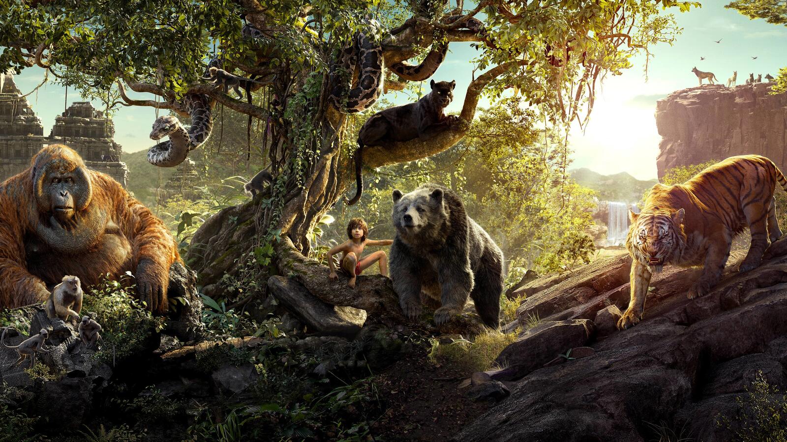 Wallpapers The Jungle Book Jungle Book Fiction on the desktop