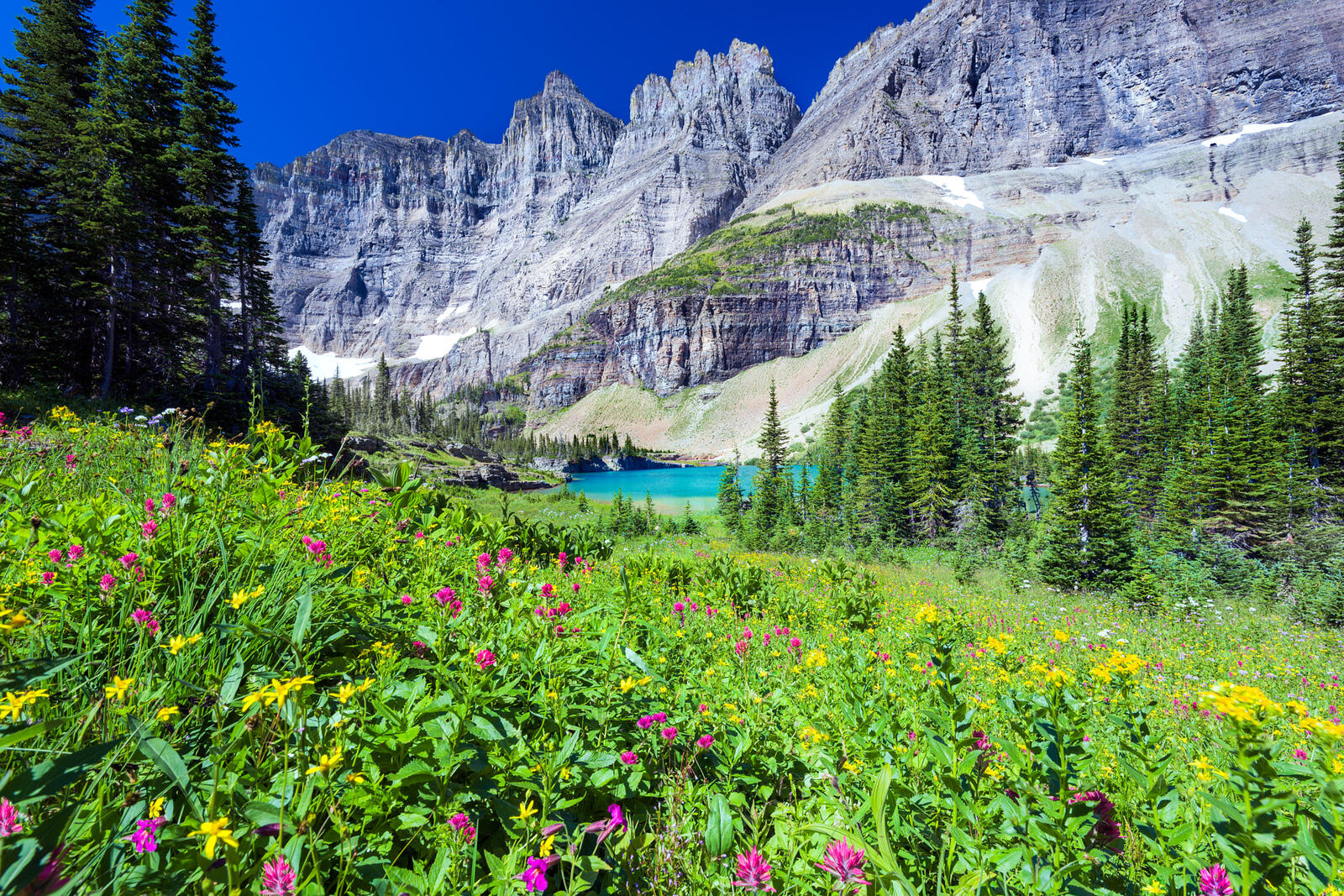 Wallpapers Lake Trail Glacier County United States on the desktop