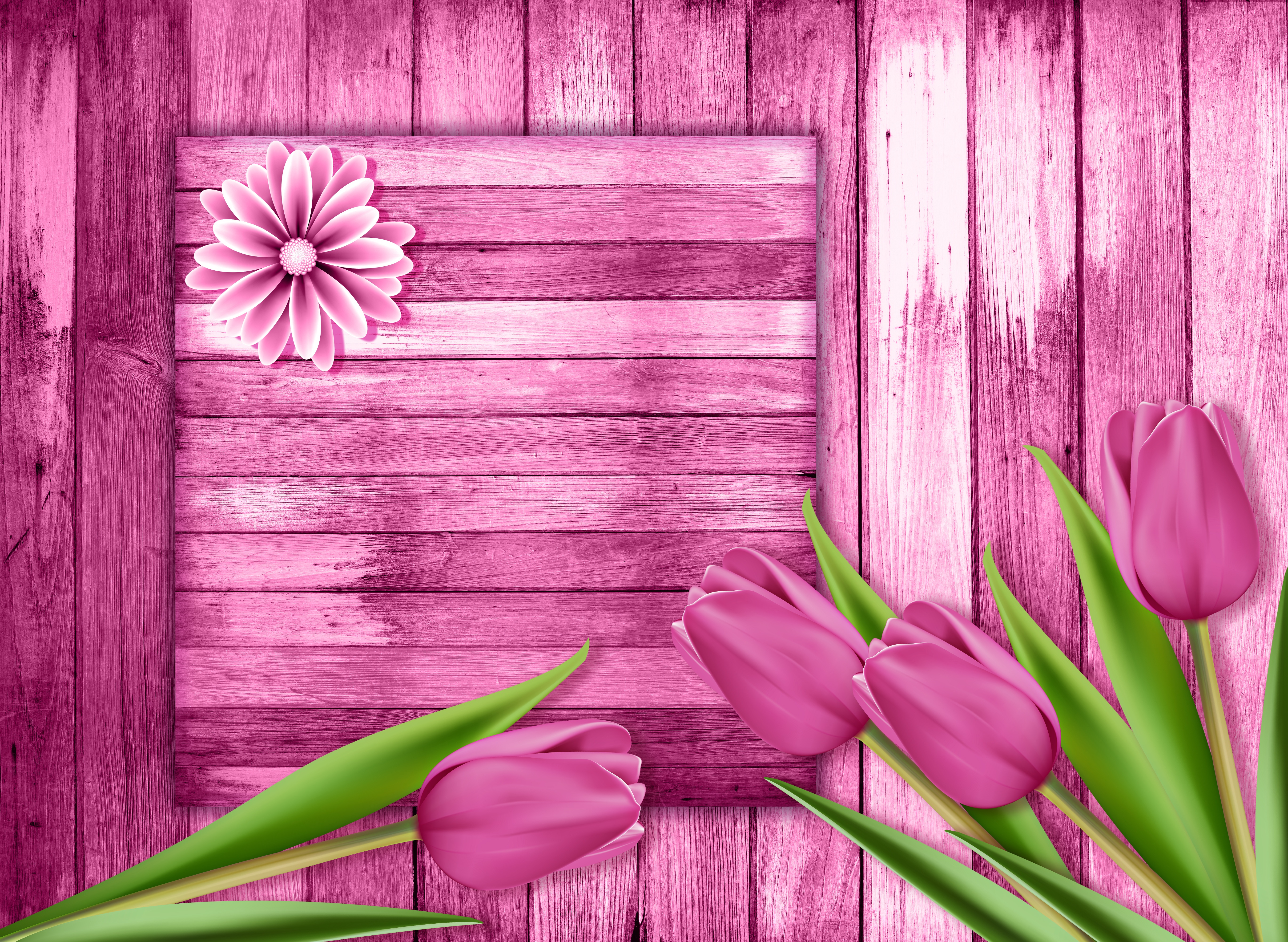 Wallpapers flowers tulips flower arrangement on the desktop