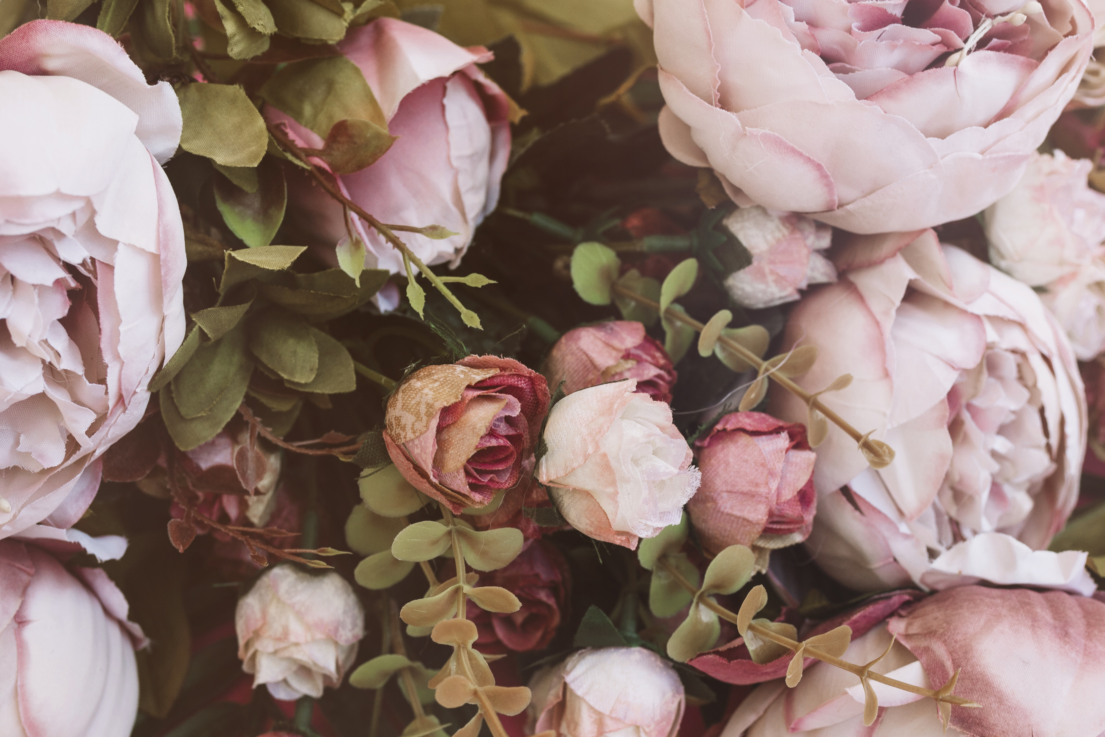 Обои маленькие розы цветы розовые розы на рабочий стол